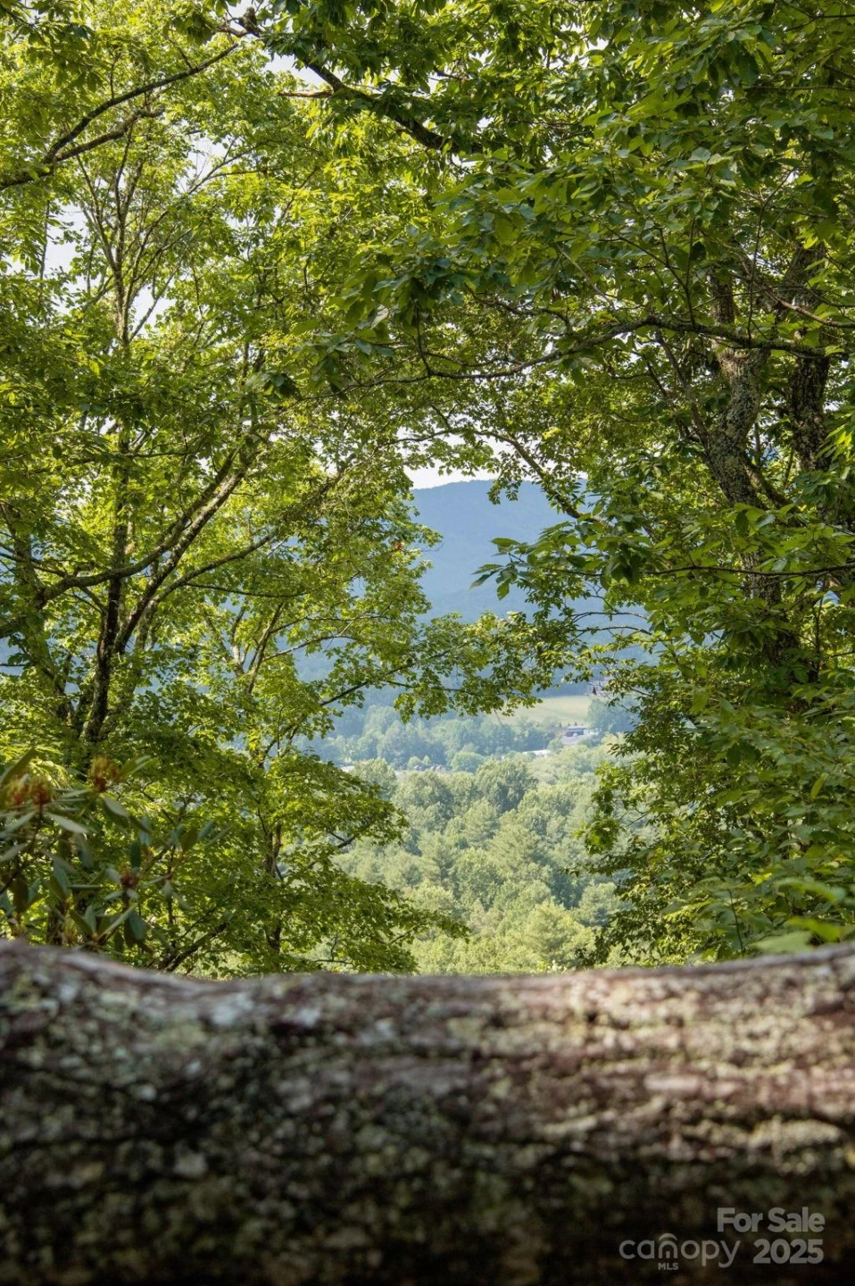 Lot # 1 Masterpiece View Drive #1 - Photo 7