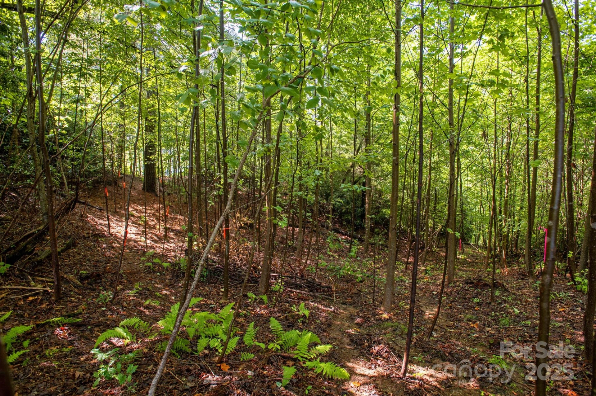 Lot # 2 Masterpiece View Drive #2 - Photo 14