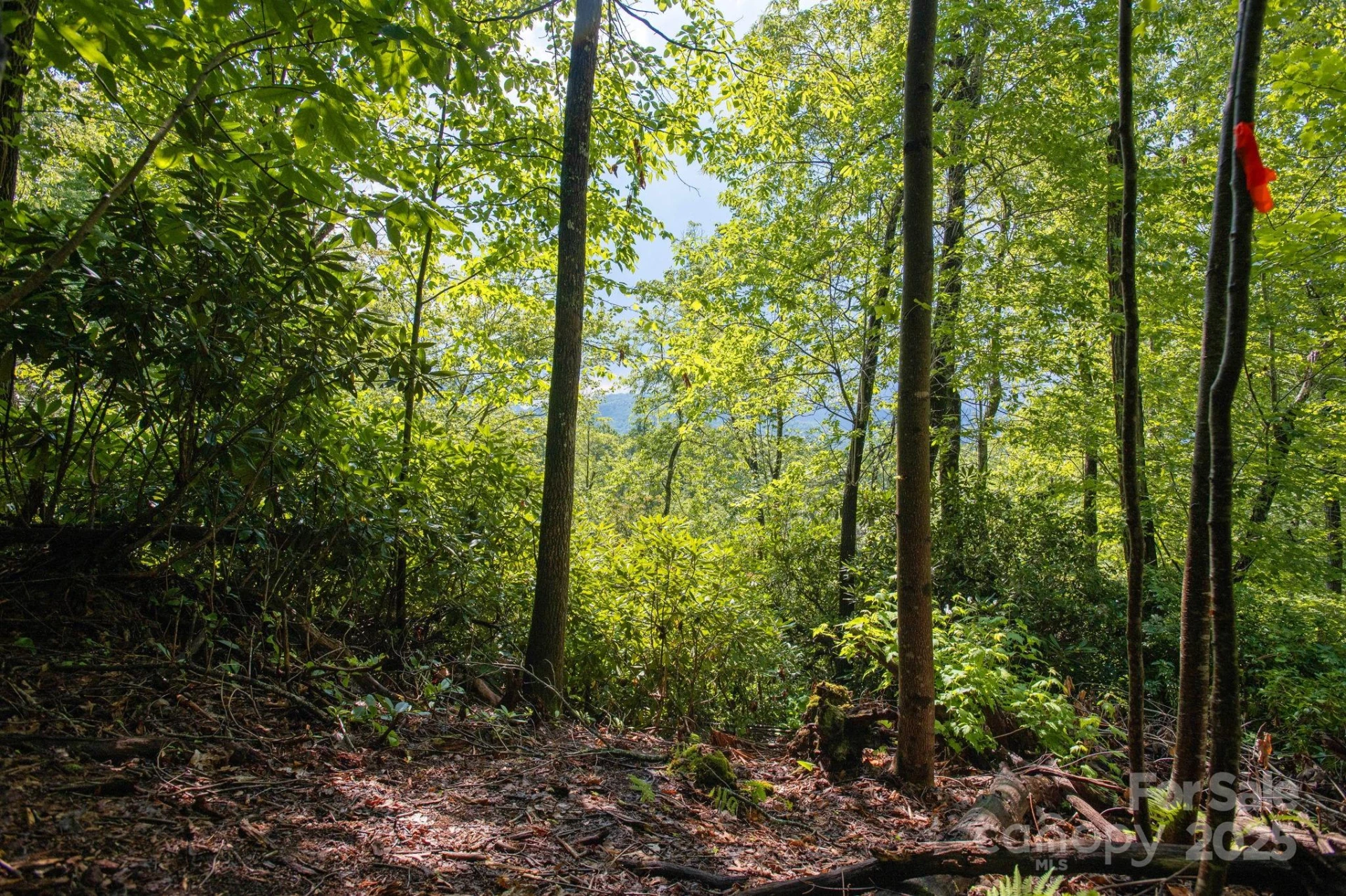 Lot # 2 Masterpiece View Drive #2 - Photo 5