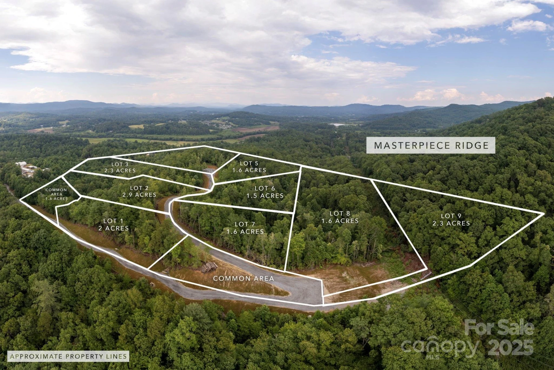 Lot # 5 Masterpiece View Drive #5 - Photo 2
