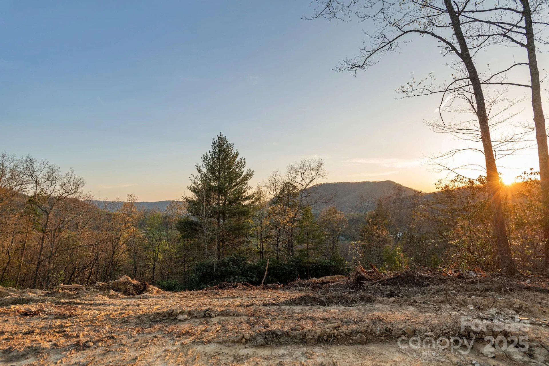 Lot # 5 Masterpiece View Drive #5 - Photo 20