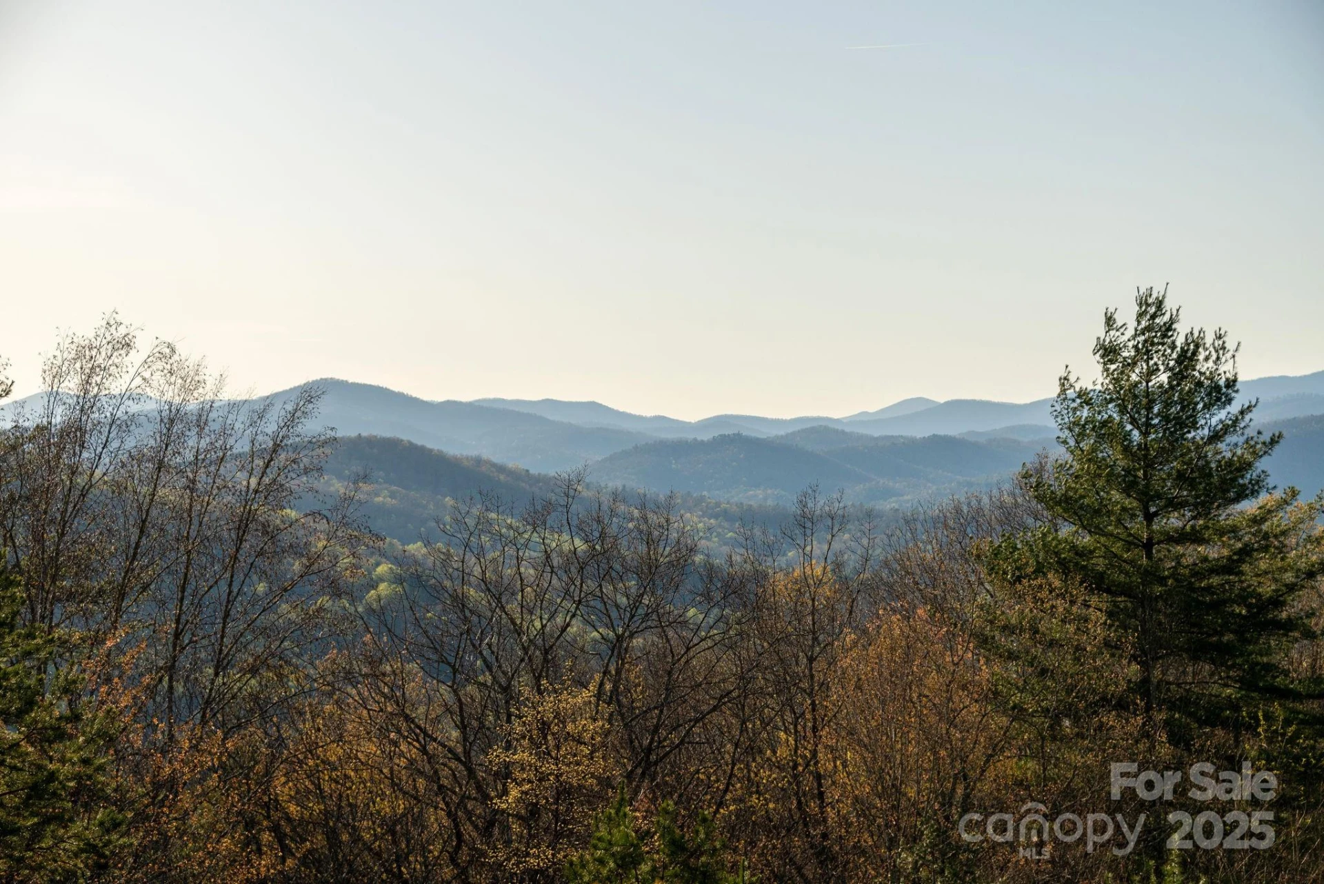 Lot # 5 Masterpiece View Drive #5 - Photo 22