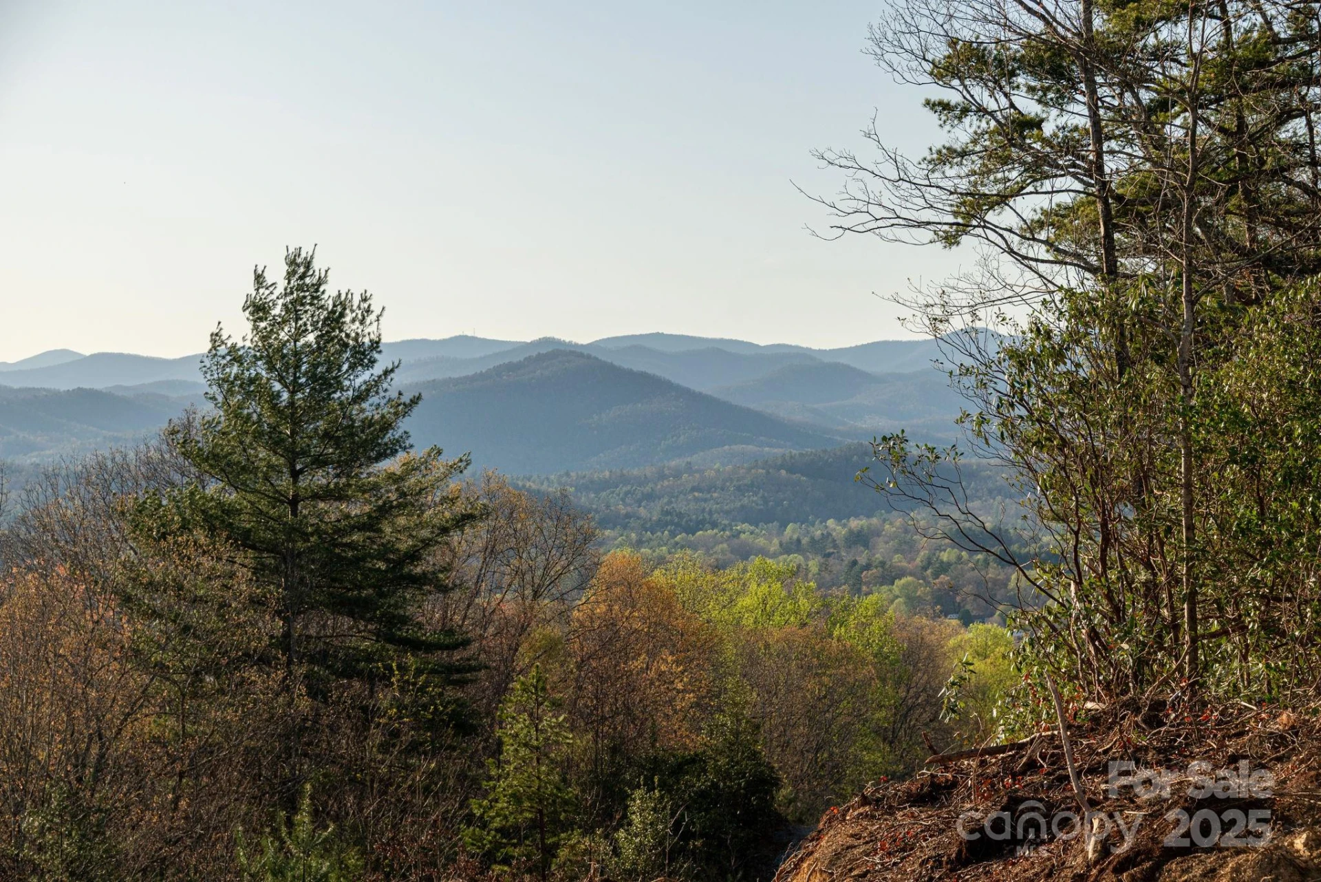 Lot # 5 Masterpiece View Drive #5 - Photo 23