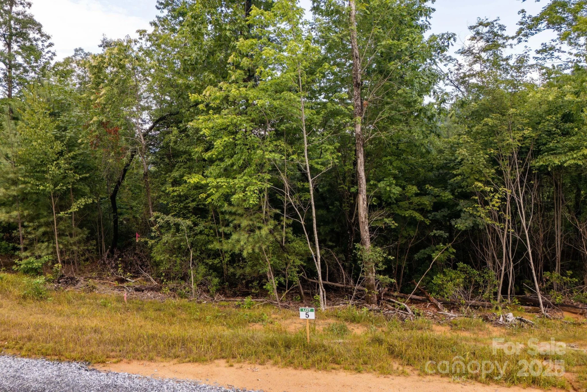 Lot # 5 Masterpiece View Drive #5 - Photo 4