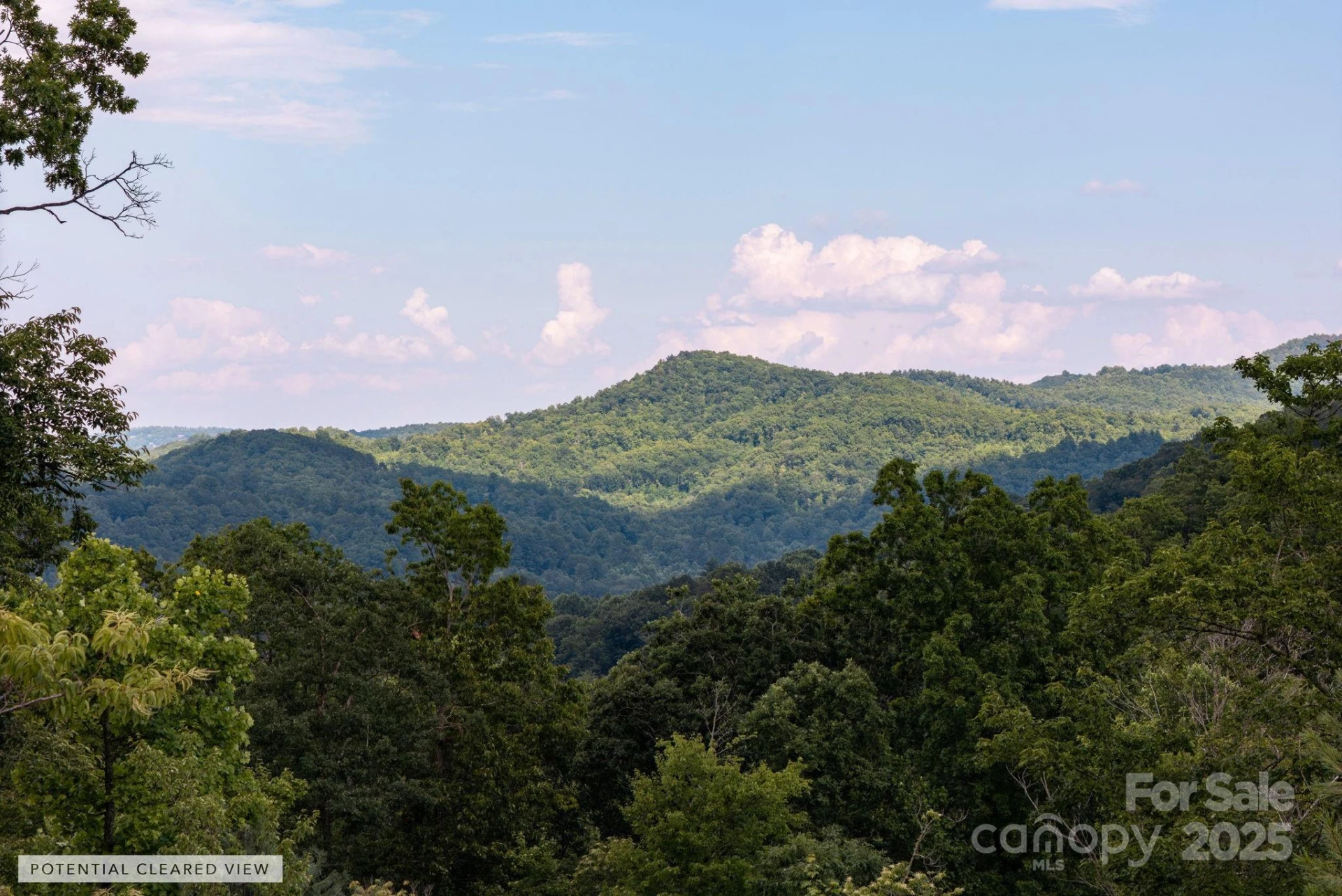 Lot # 6 Masterpiece View Drive #6 - Photo 3