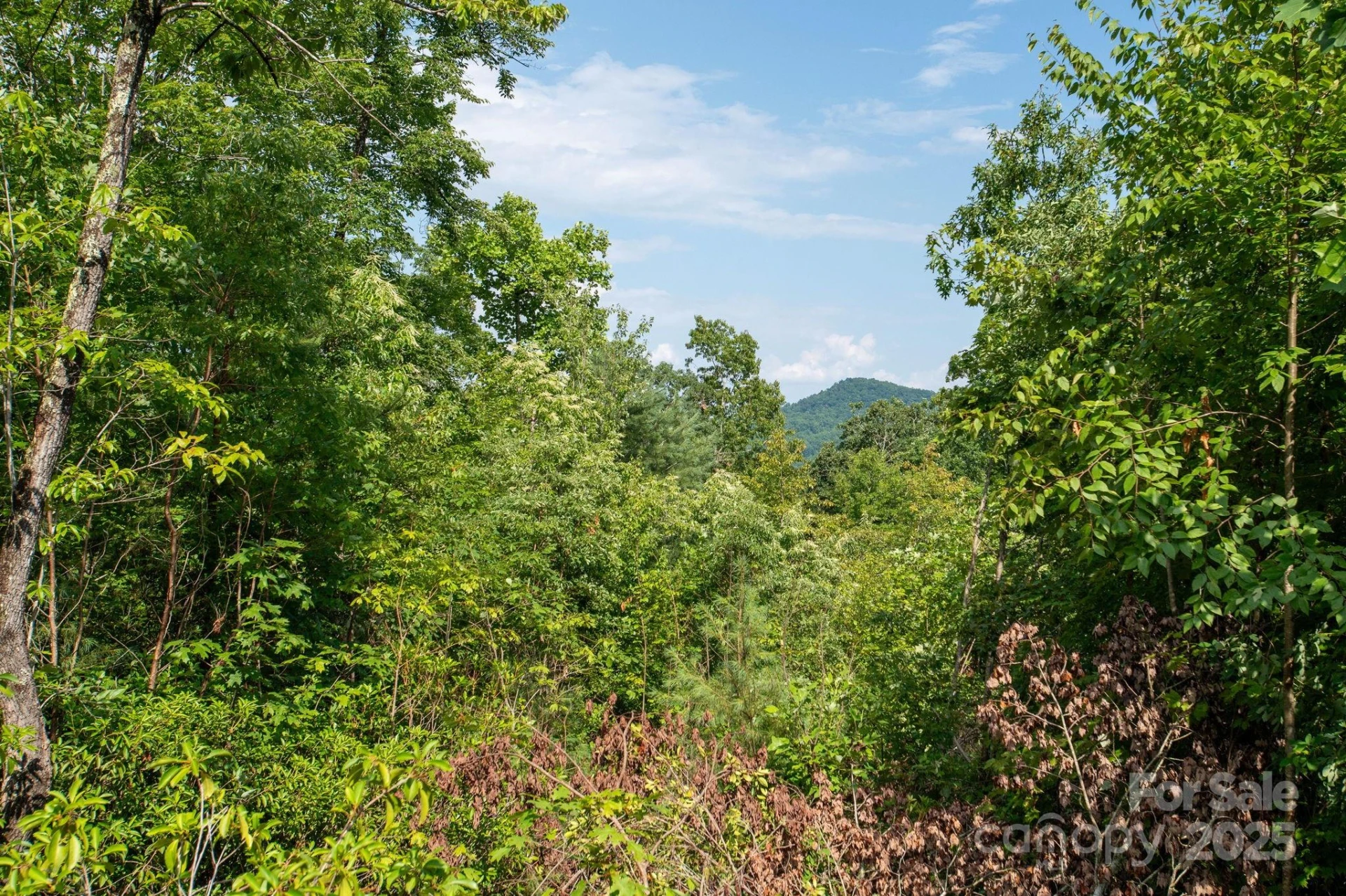 Lot # 6 Masterpiece View Drive #6 - Photo 4