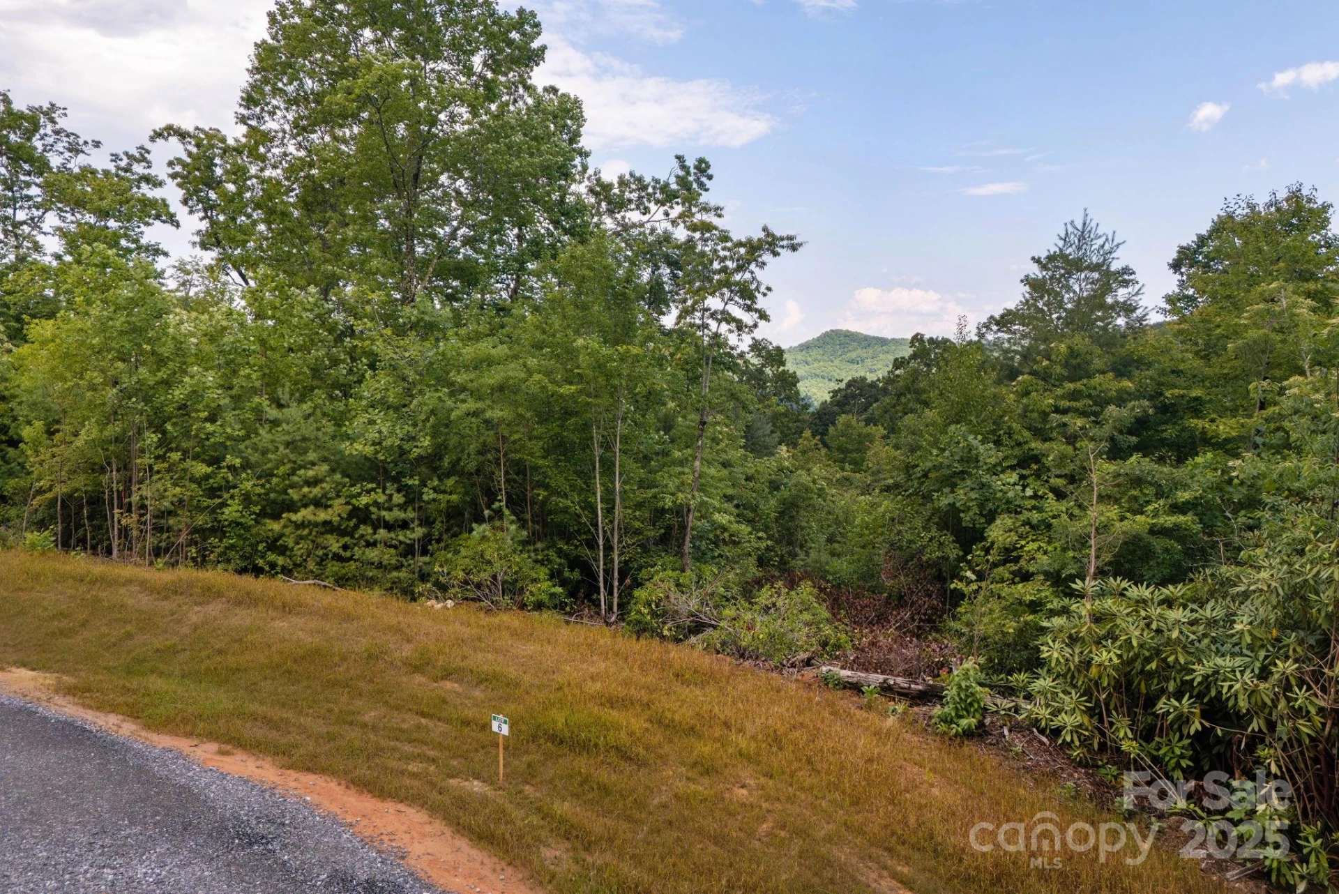 Lot # 6 Masterpiece View Drive #6 - Photo 6