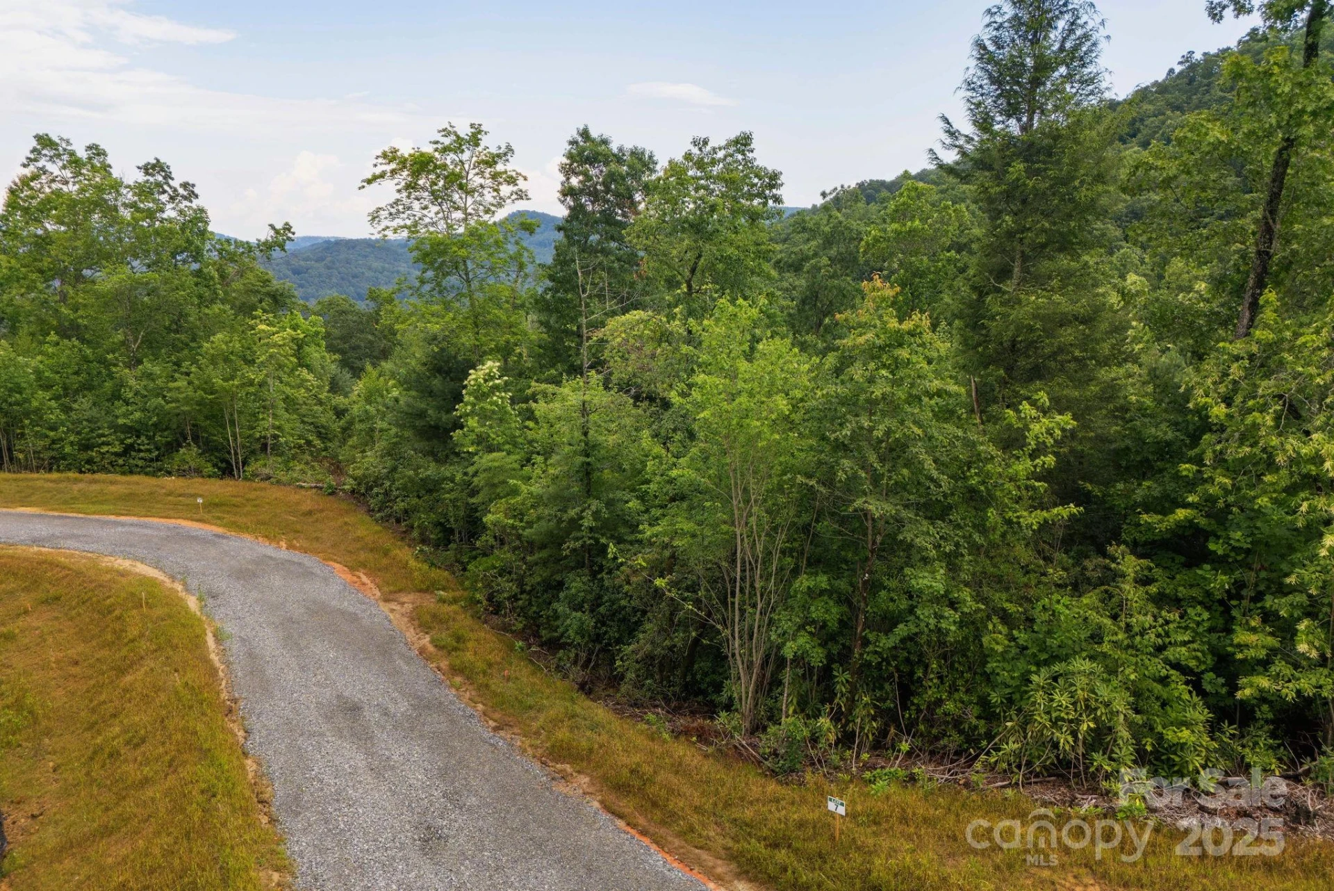 Lot # 7 Masterpiece View Drive - Photo 6