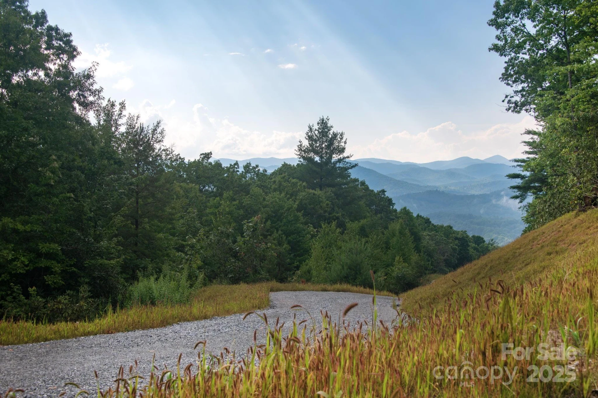 Lot # 8 Masterpiece View Drive #8 - Photo 11
