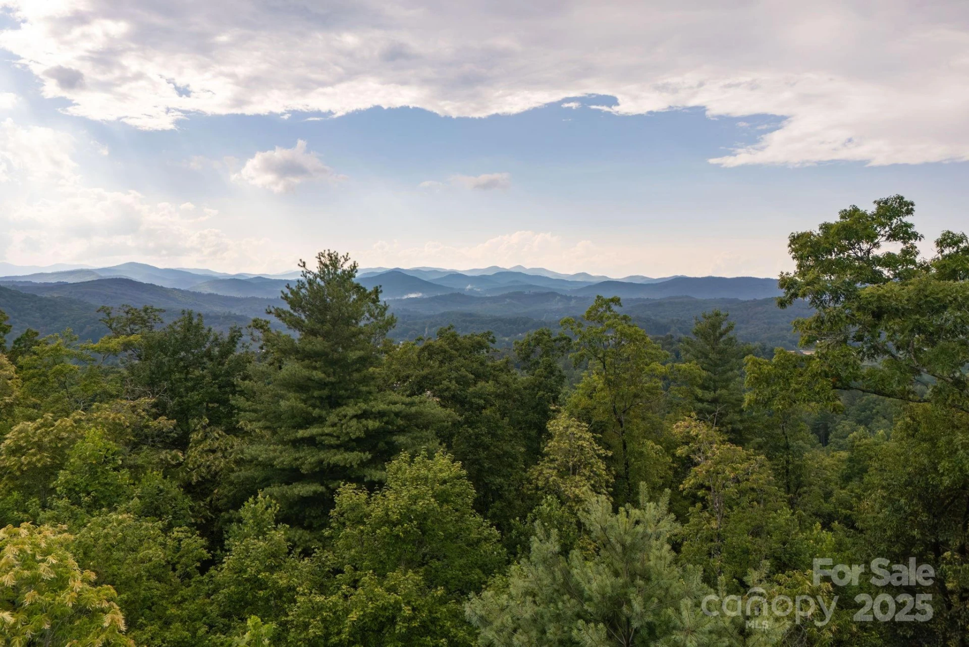 Lot # 8 Masterpiece View Drive #8 - Photo 16
