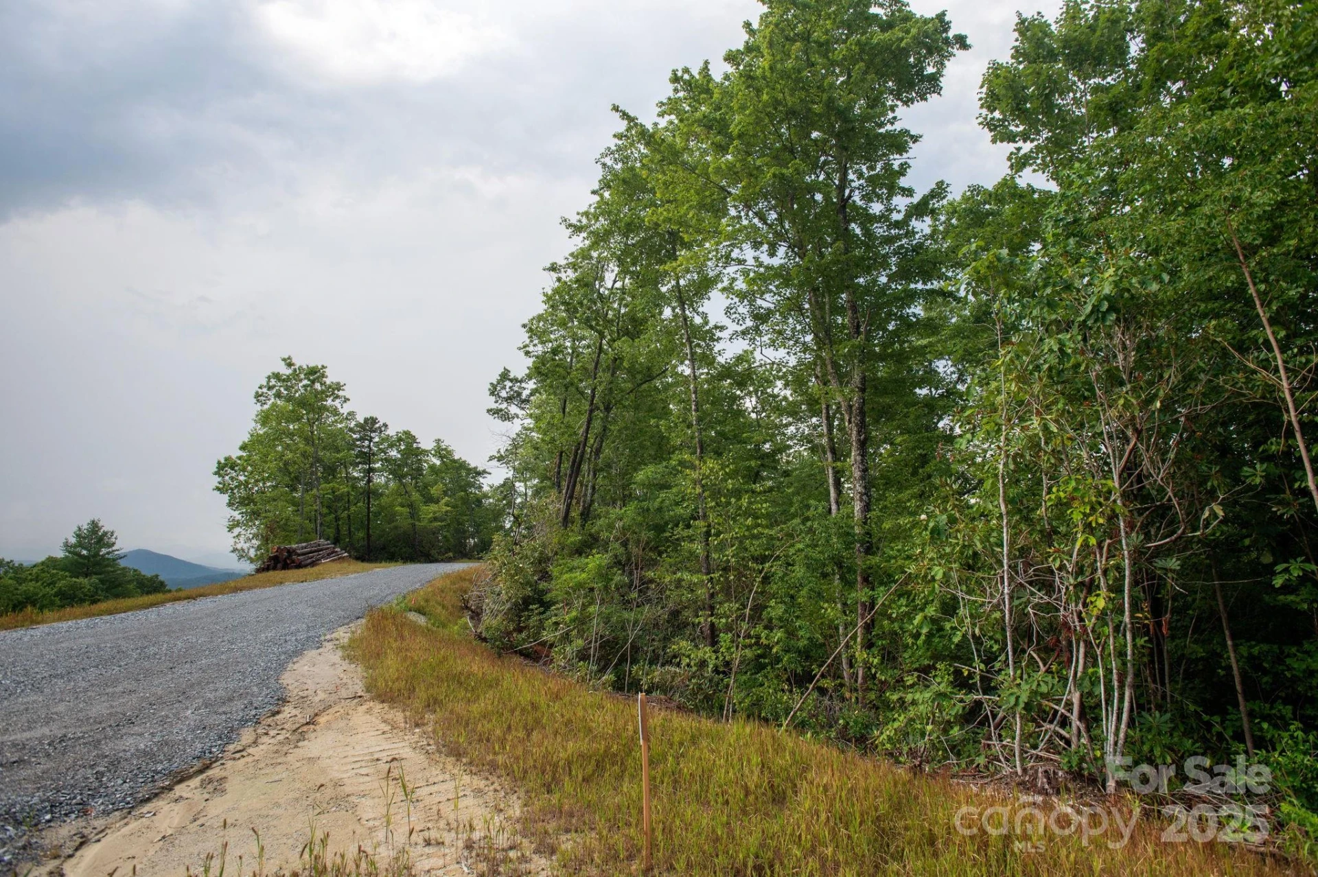 Lot # 8 Masterpiece View Drive #8 - Photo 4