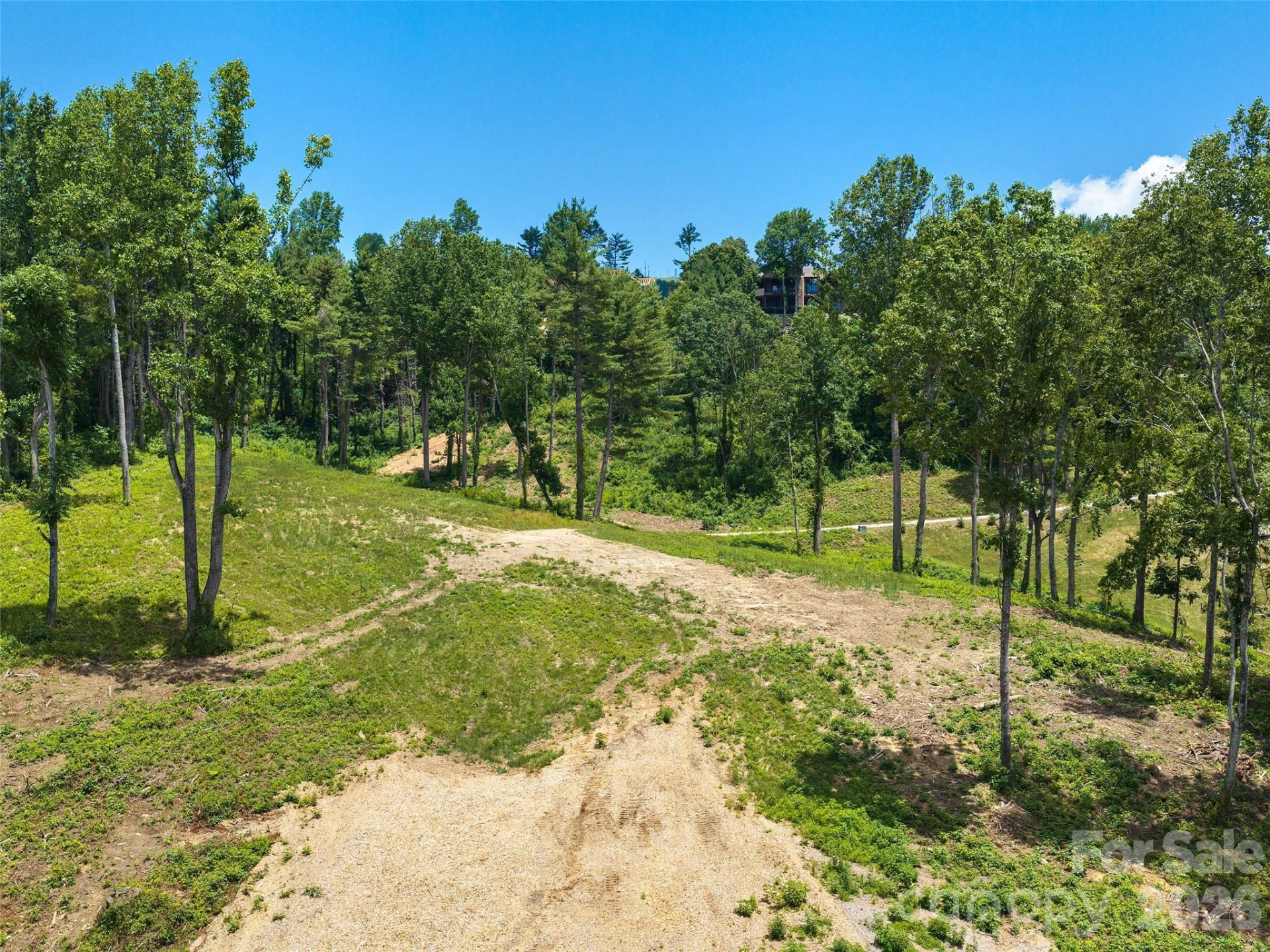 620 Dancing Bear Drive #195 - Photo 10