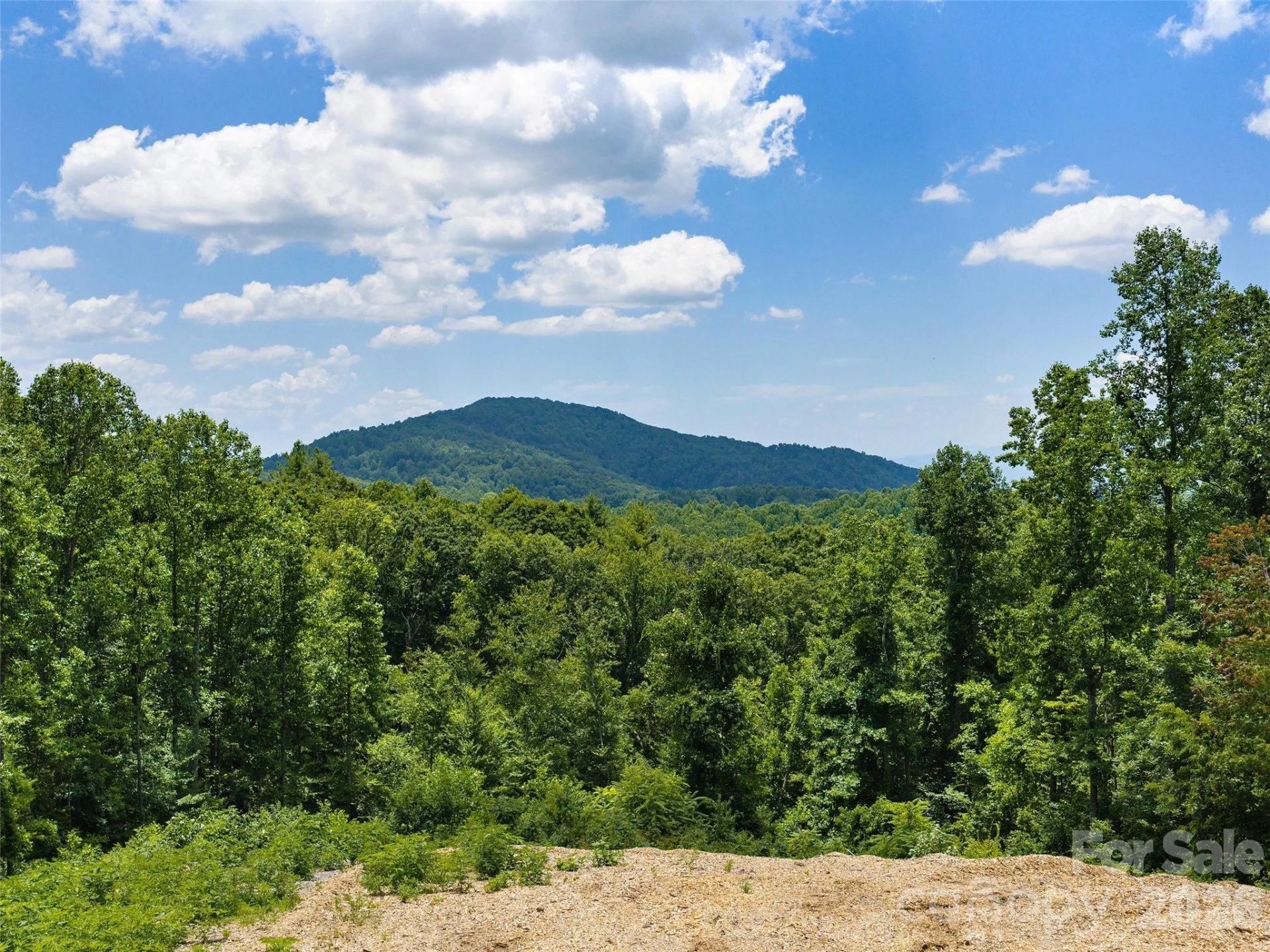 620 Dancing Bear Drive #195 - Photo 4