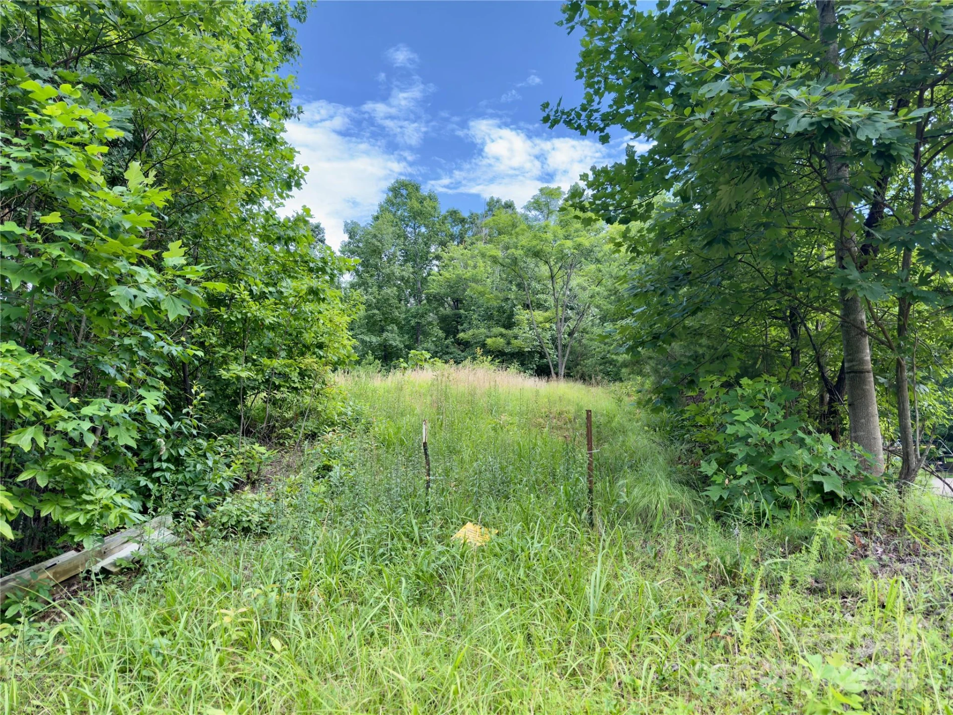 V/L Black Lark Drive #178 - Photo 2