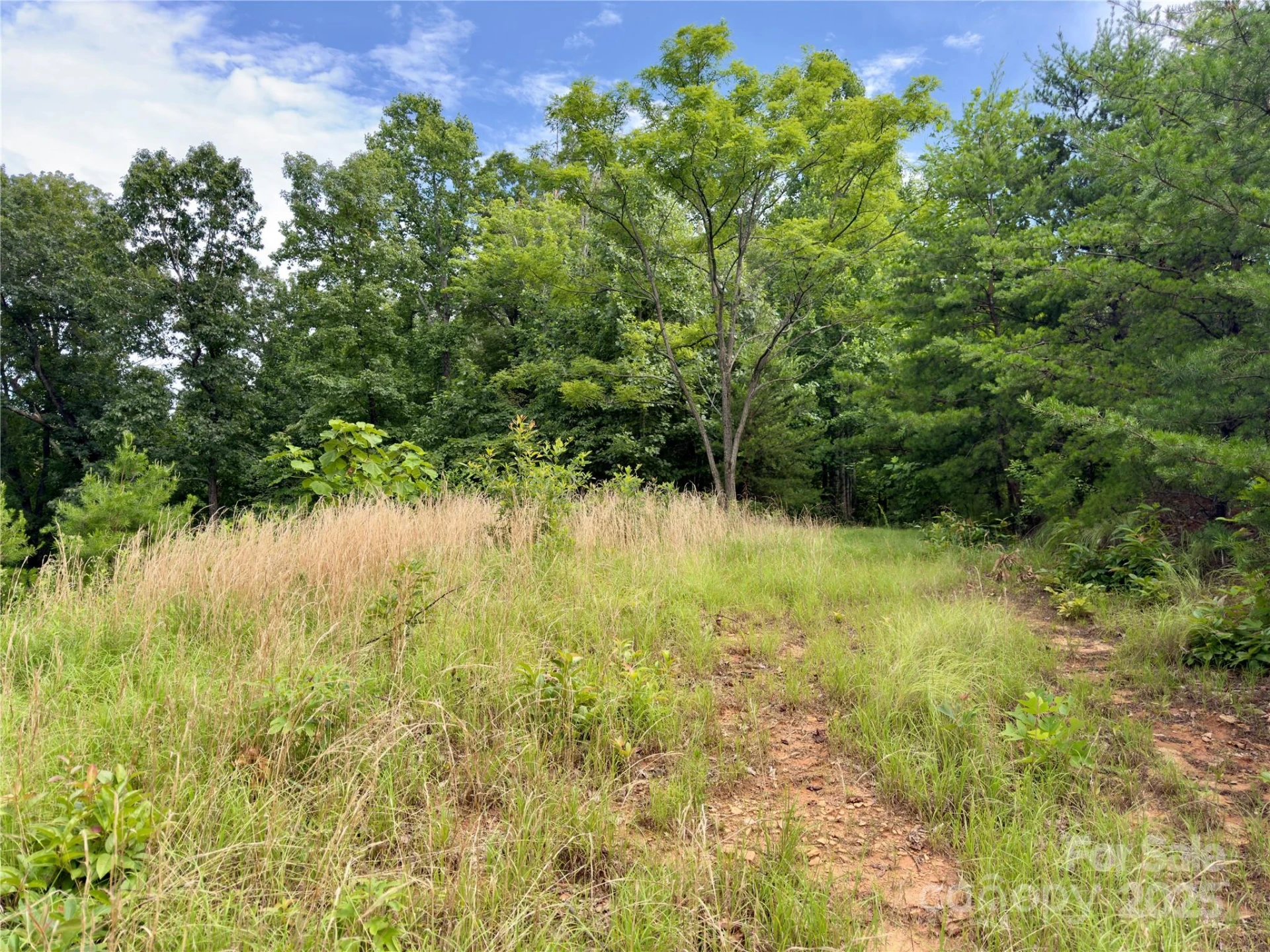 V/L Black Lark Drive #178 - Photo 4