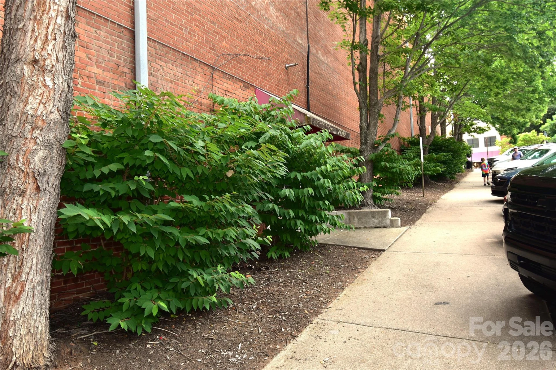 93 N Main Street - Photo 5