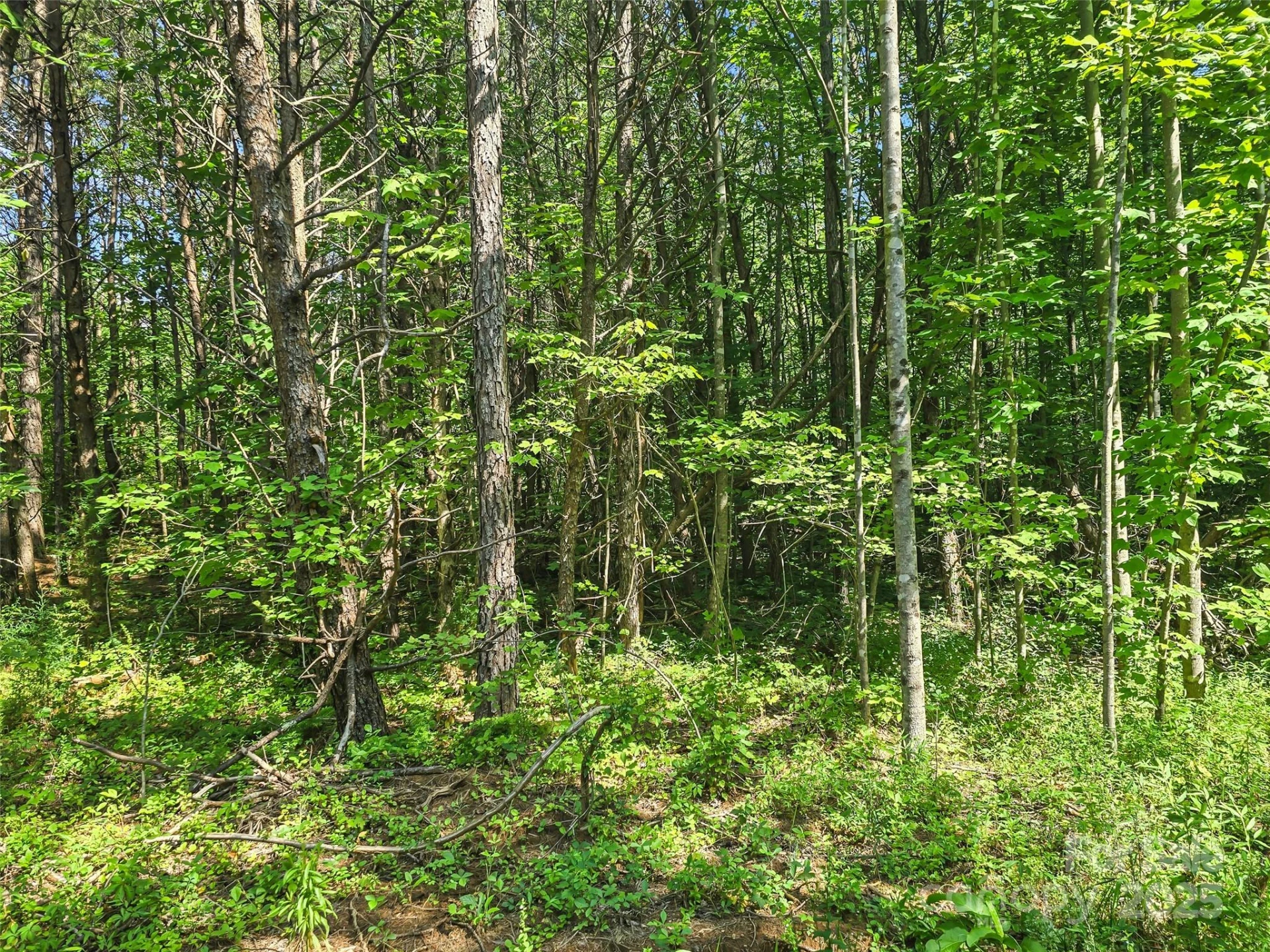 0000 Bills Creek Road - Photo 17