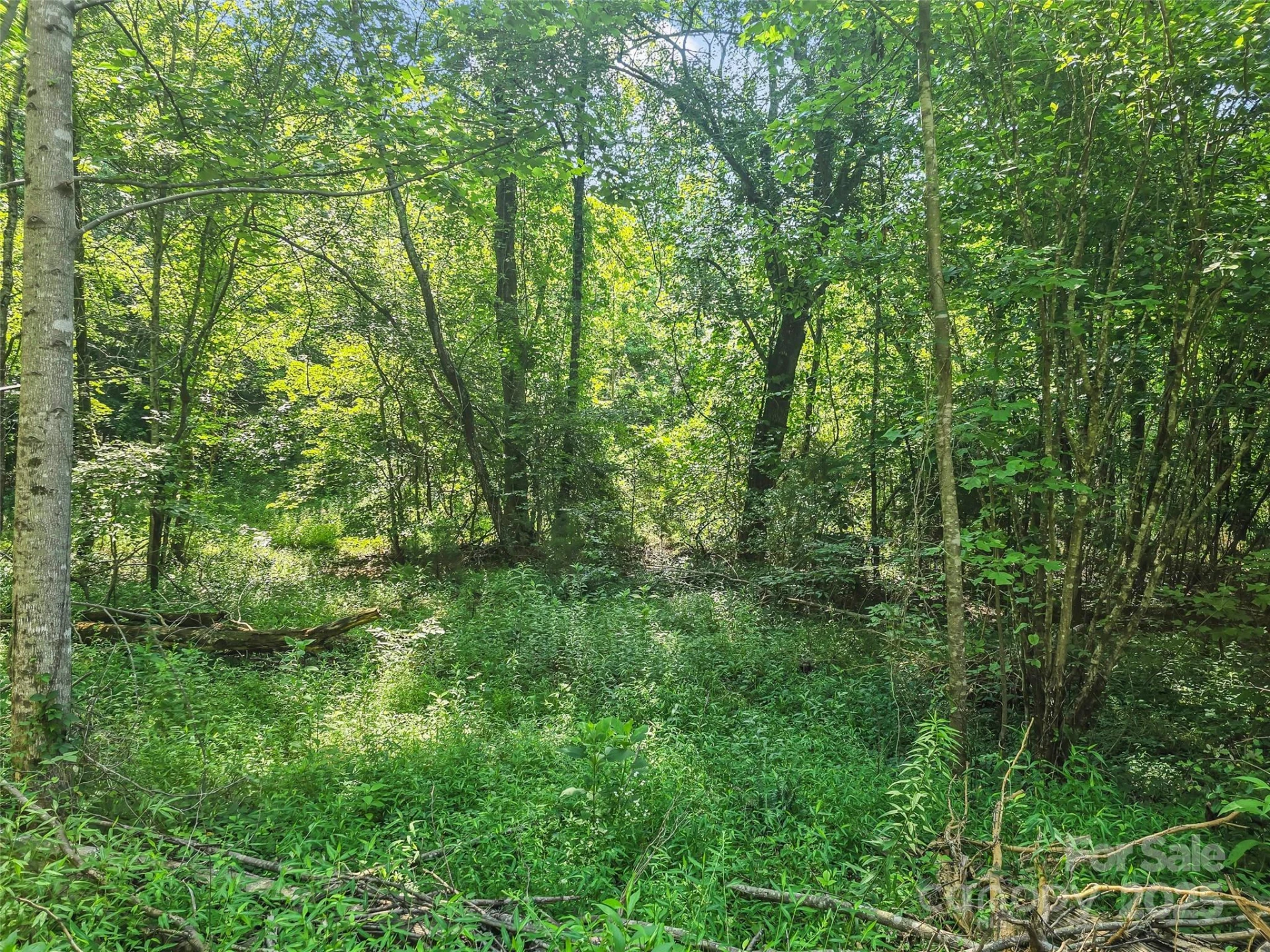 0000 Bills Creek Road - Photo 22