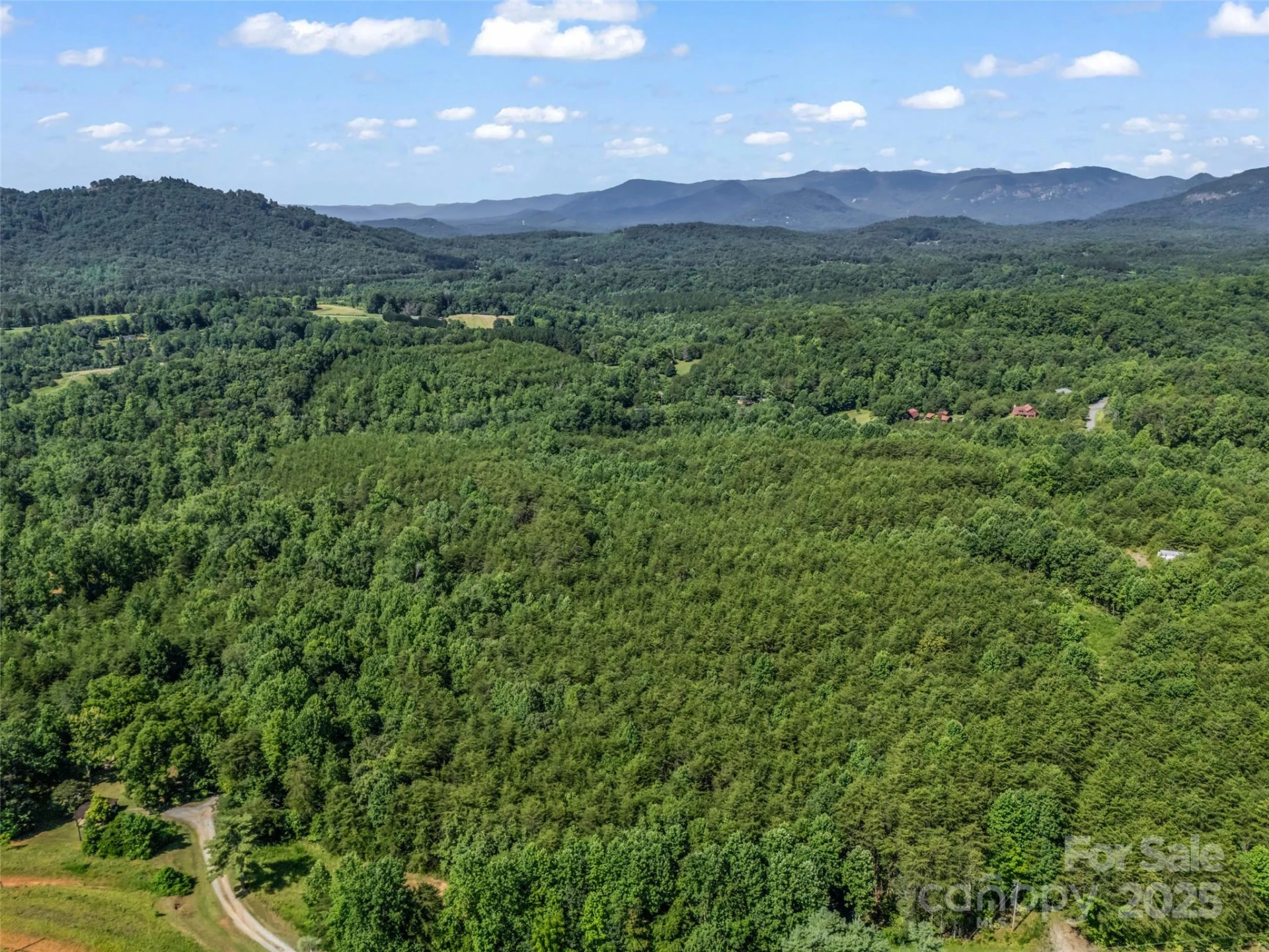 0000 Bills Creek Road - Photo 4