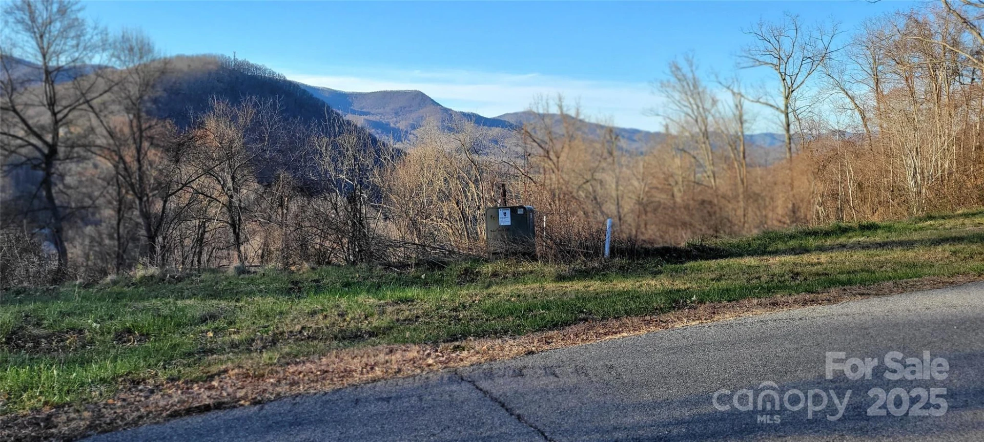 38 Rons Ridge - Photo 3