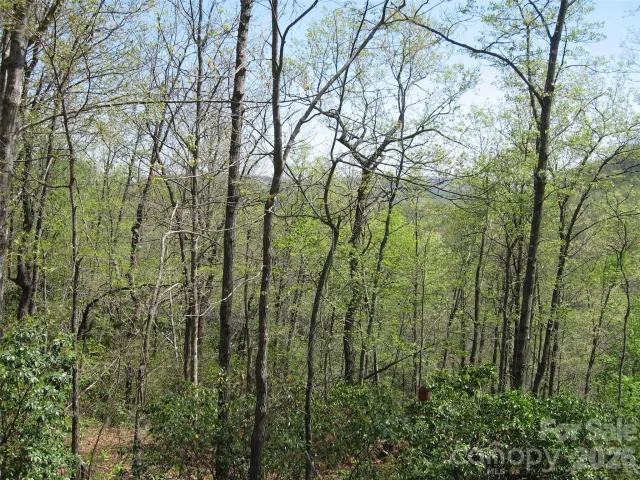 313 Line Runner Ridge Road, Rosman, NC, 28772