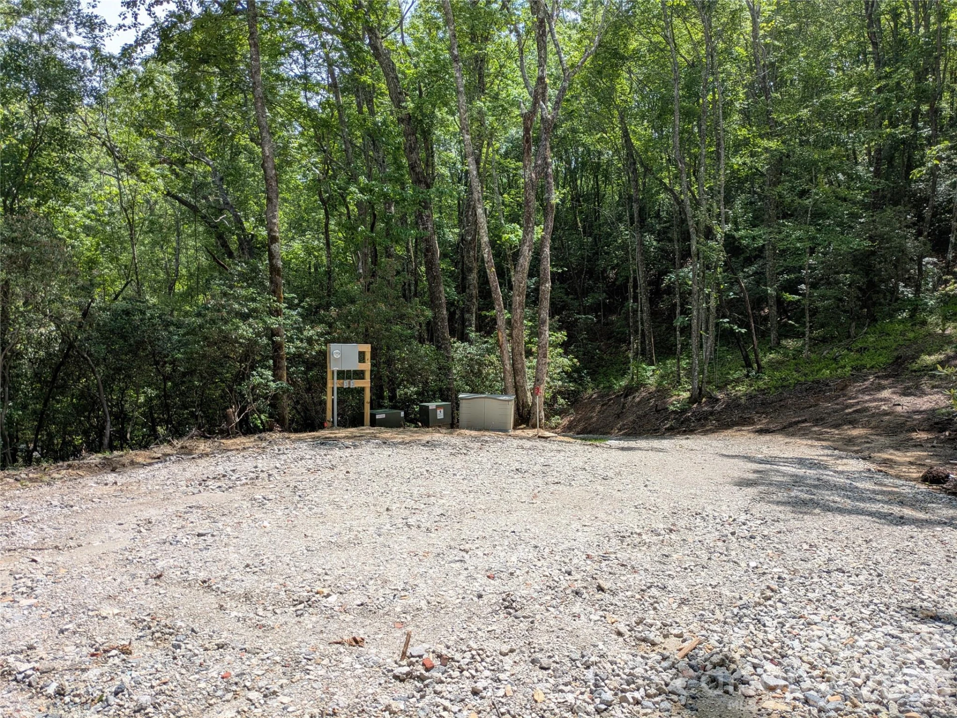 313 Line Runner Ridge Road - Photo 2