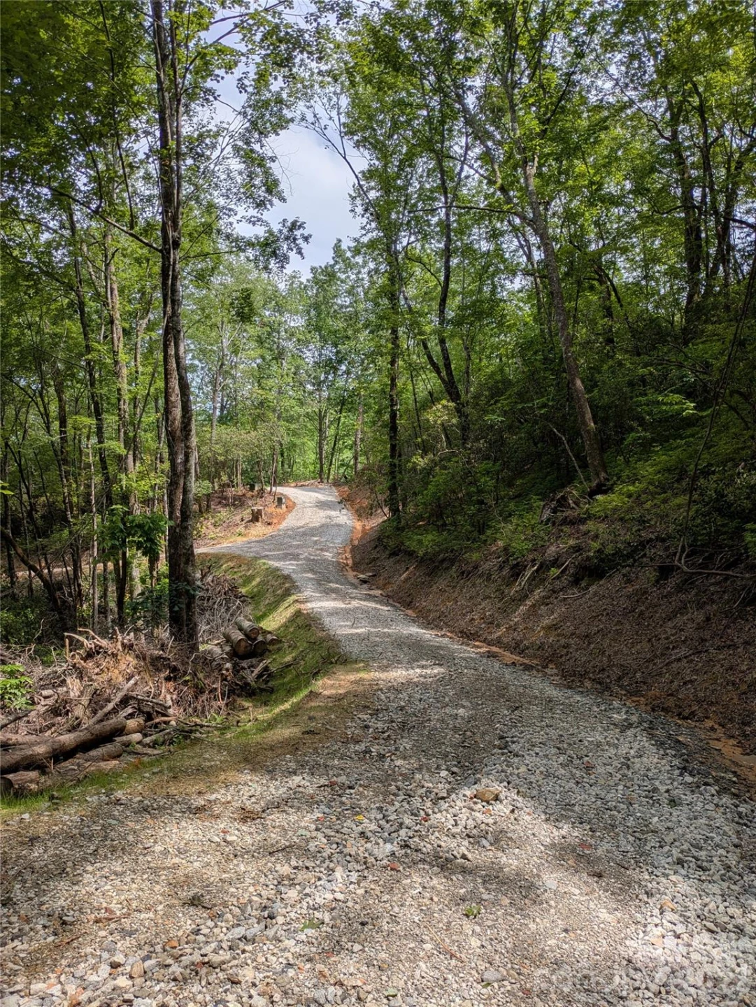 313 Line Runner Ridge Road - Photo 11