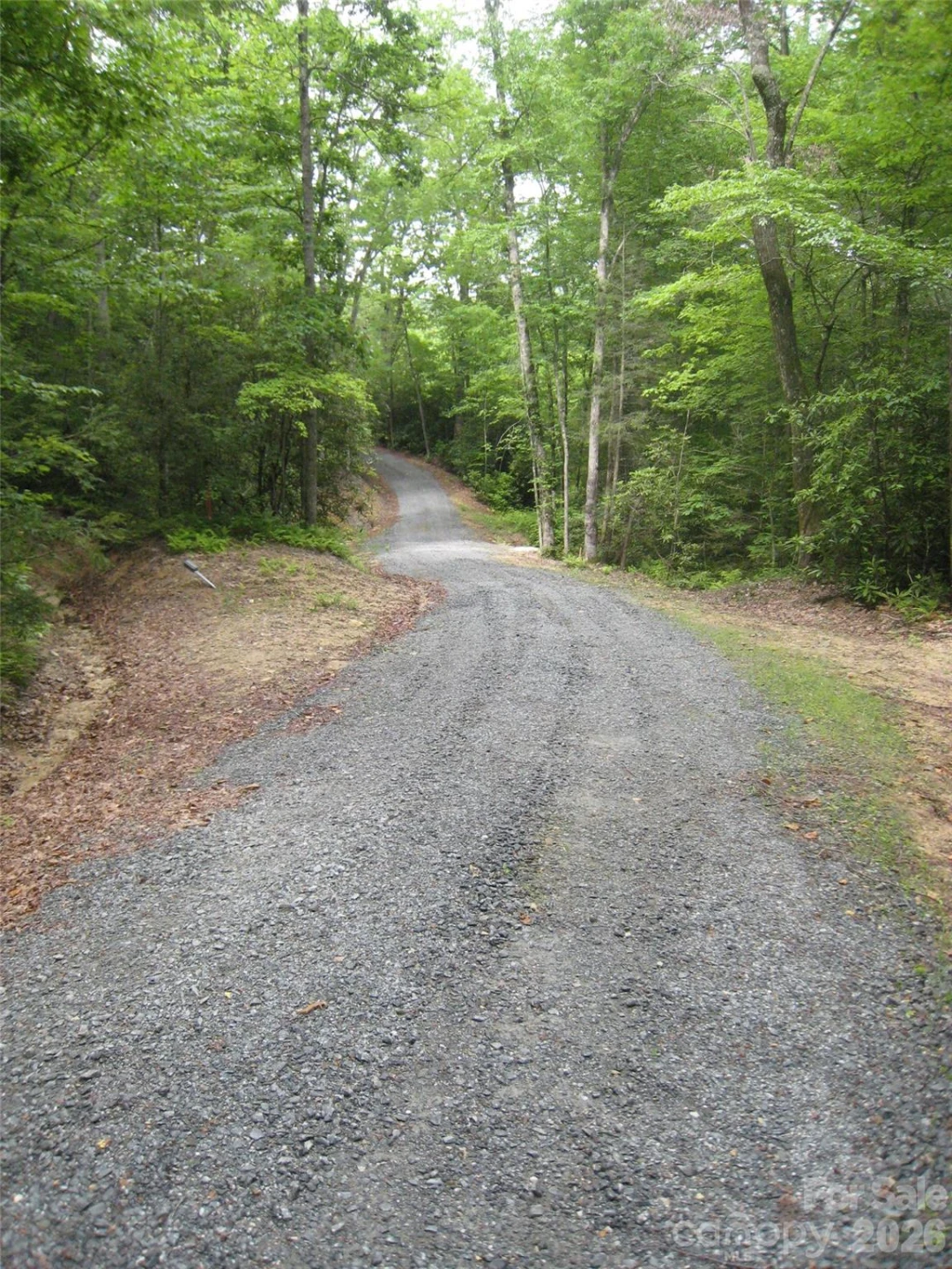 313 Line Runner Ridge Road - Photo 13