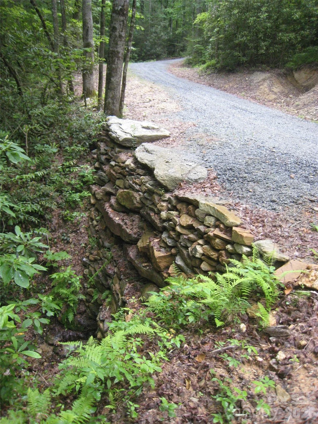 313 Line Runner Ridge Road - Photo 14