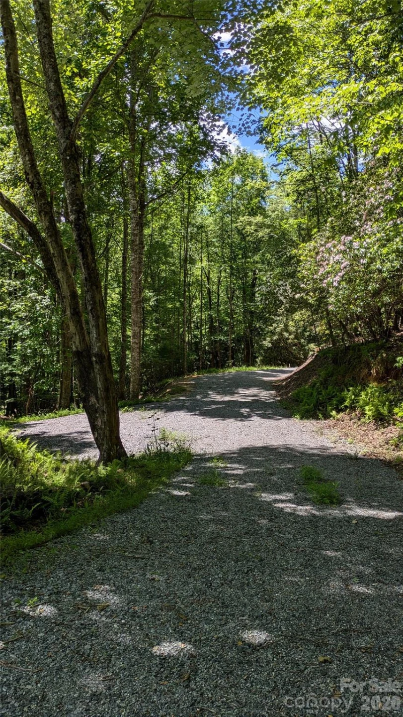 313 Line Runner Ridge Road - Photo 15