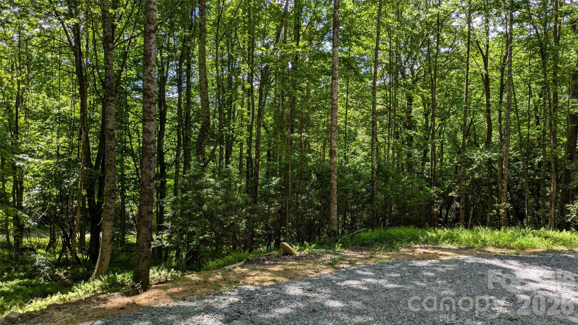 313 Line Runner Ridge Road - Photo 17