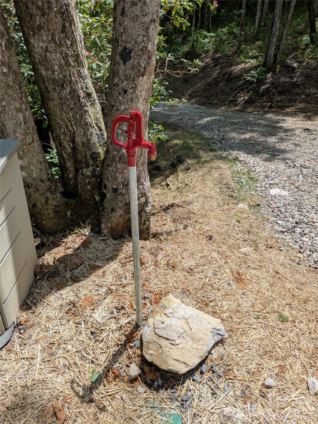 313 Line Runner Ridge Road - Photo 3