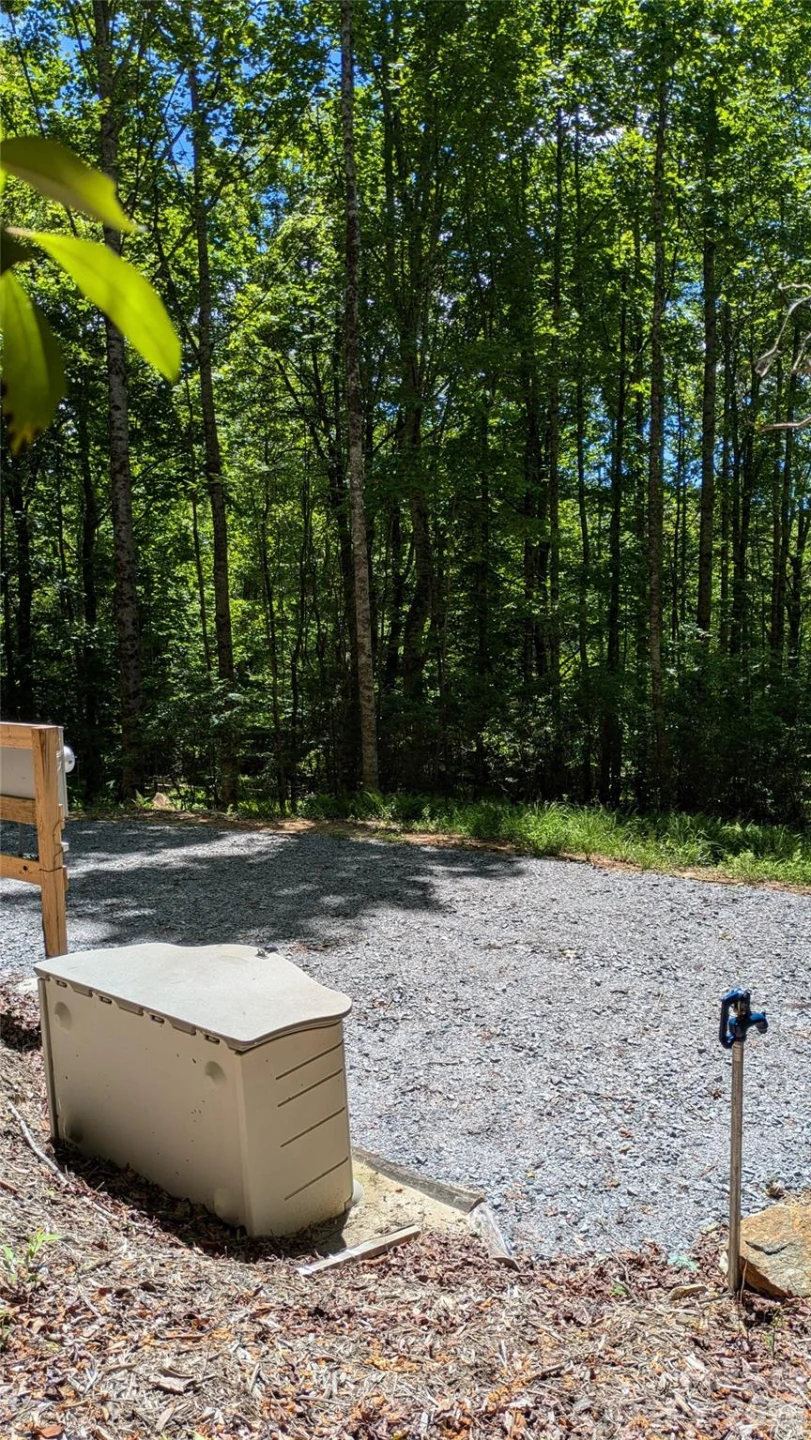 313 Line Runner Ridge Road - Photo 21