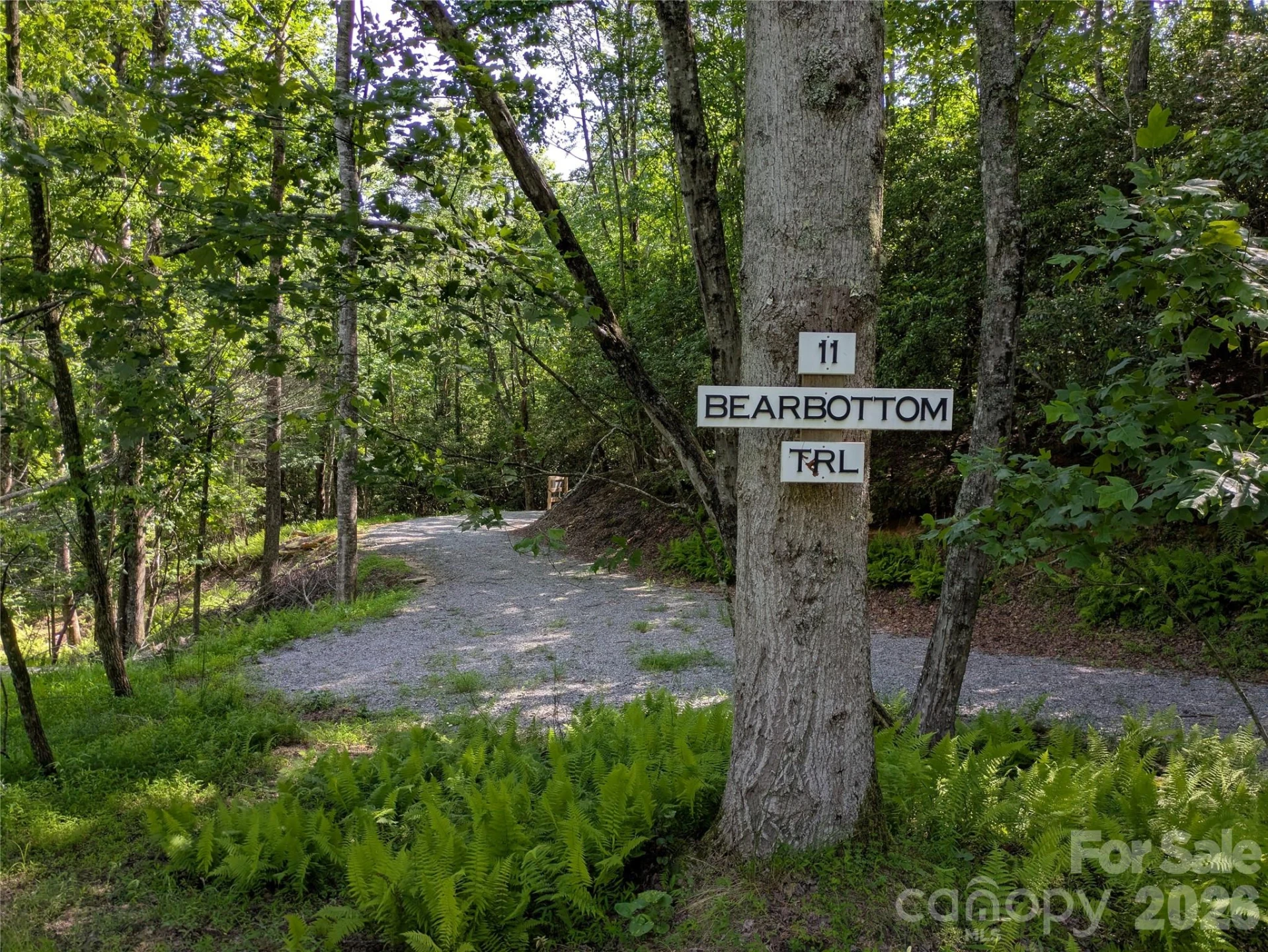 313 Line Runner Ridge Road - Photo 22