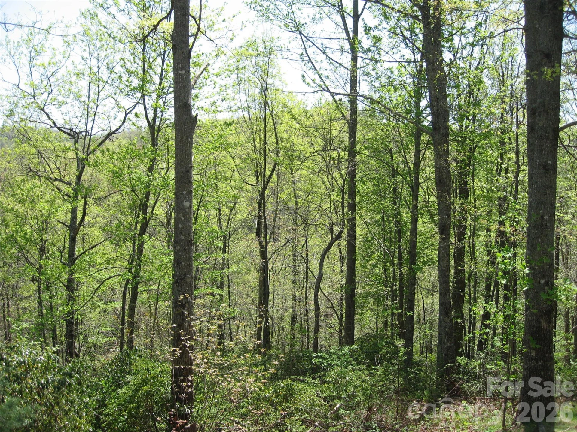 313 Line Runner Ridge Road - Photo 23