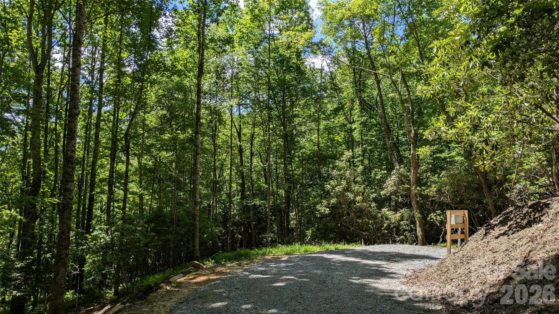 313 Line Runner Ridge Road - Photo 24