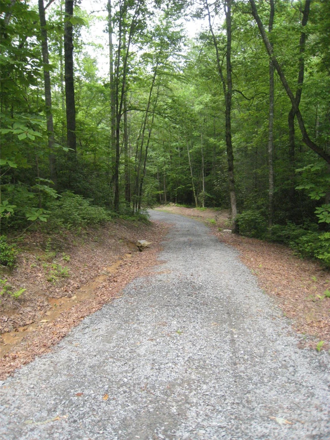 313 Line Runner Ridge Road - Photo 25
