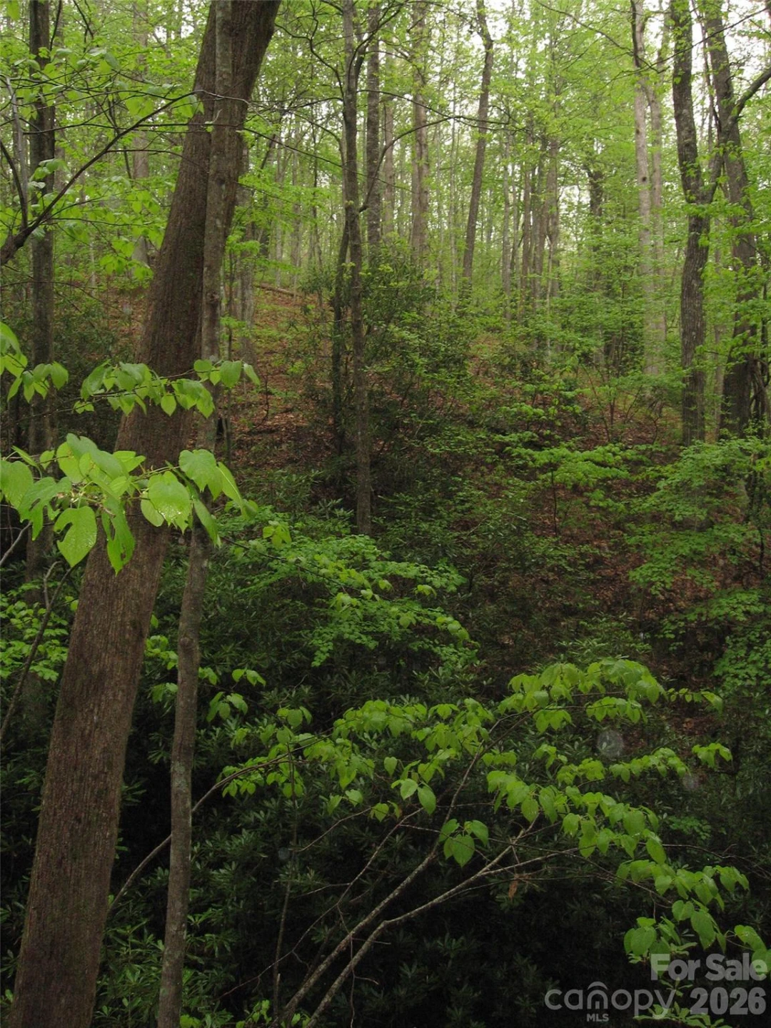 313 Line Runner Ridge Road - Photo 26