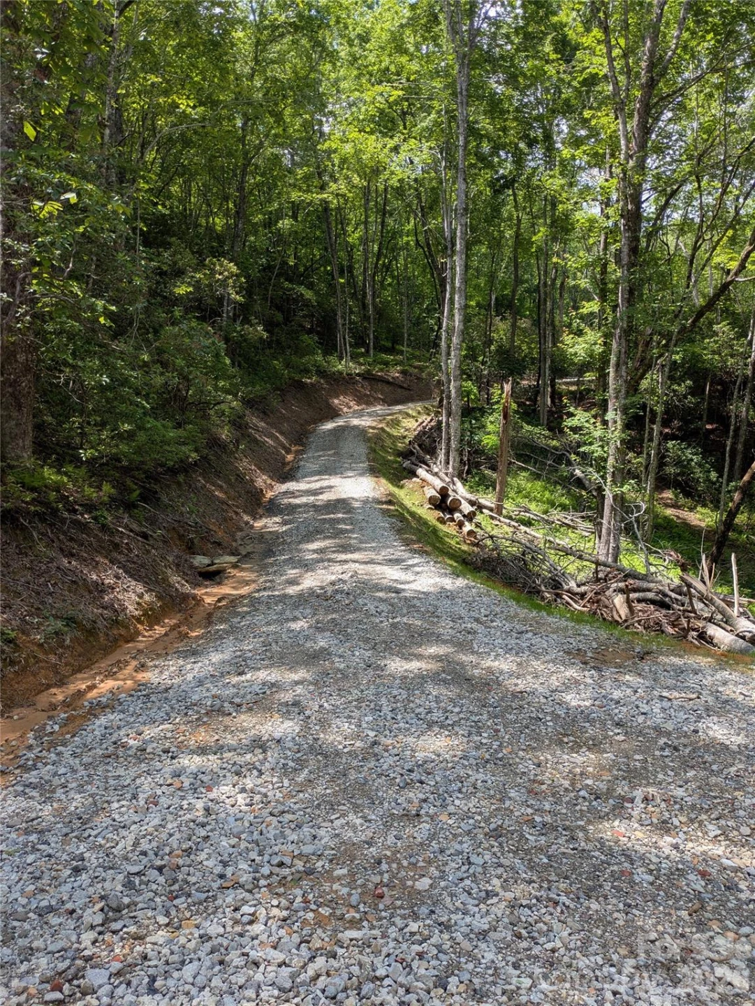 313 Line Runner Ridge Road - Photo 29
