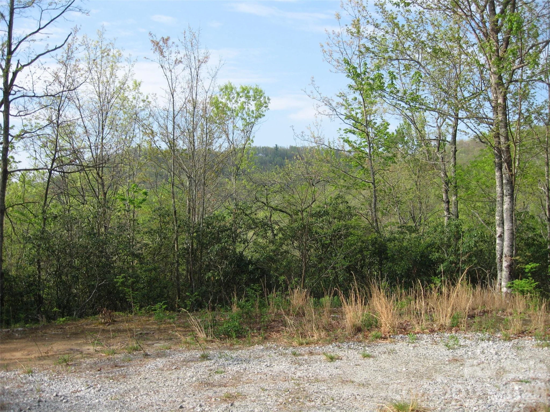 313 Line Runner Ridge Road - Photo 4