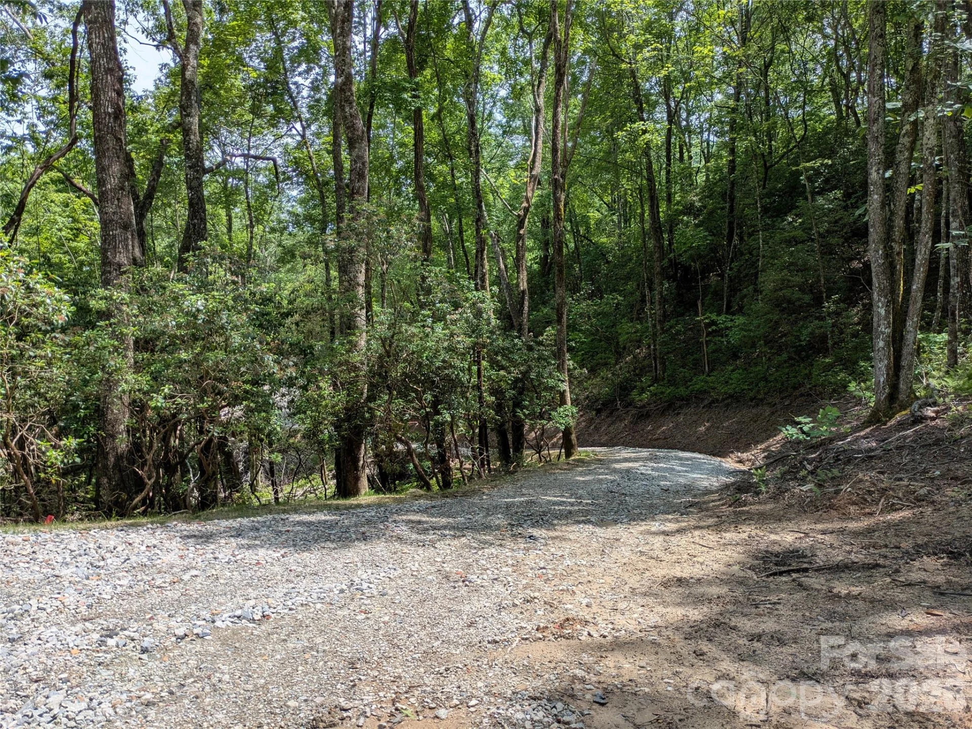 313 Line Runner Ridge Road - Photo 34