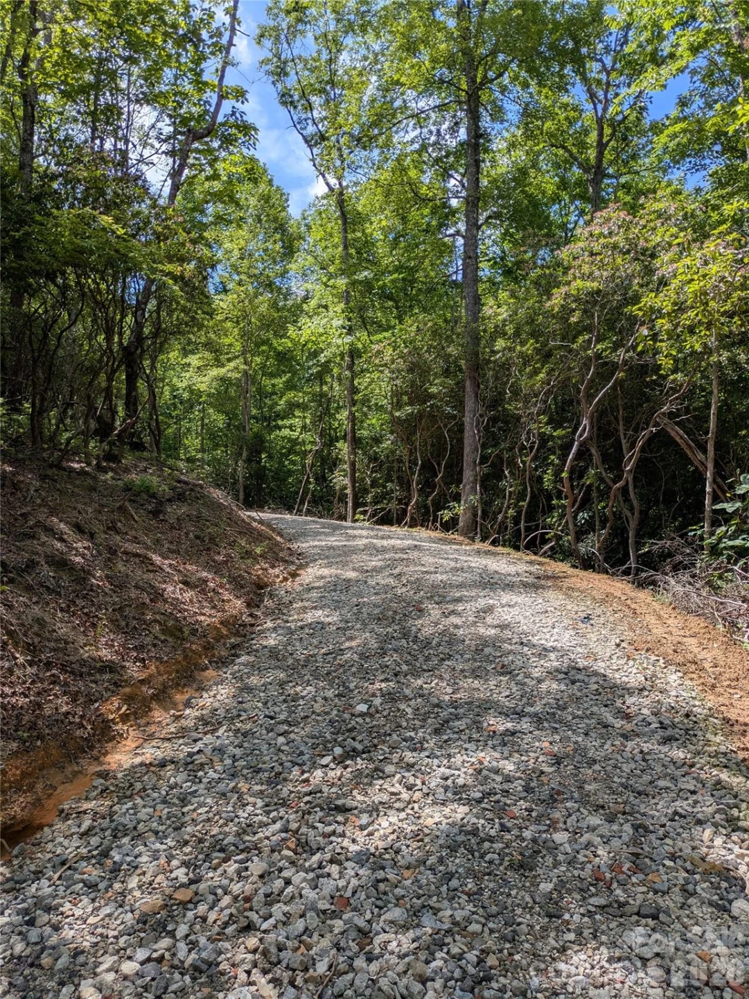 313 Line Runner Ridge Road - Photo 35