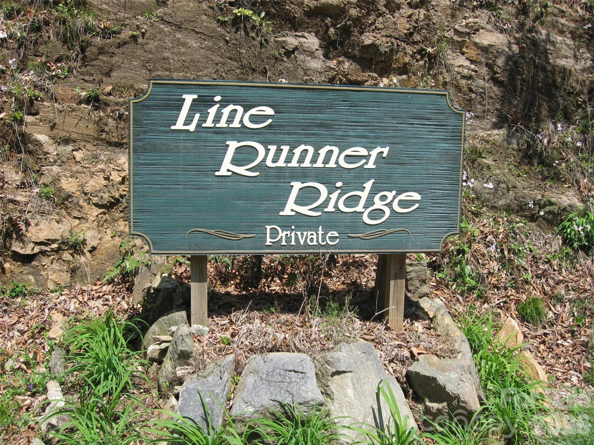 313 Line Runner Ridge Road - Photo 36