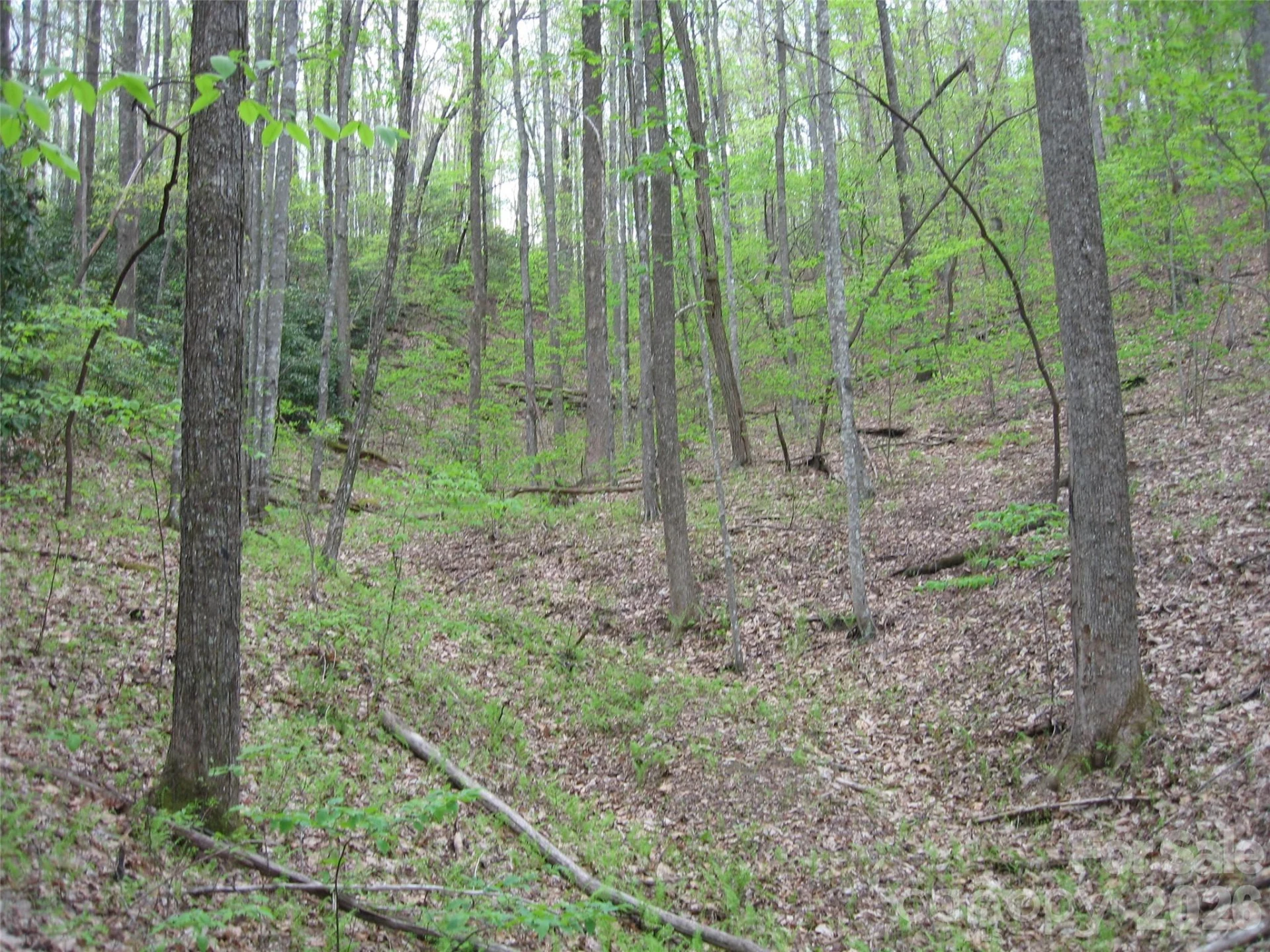 313 Line Runner Ridge Road - Photo 5