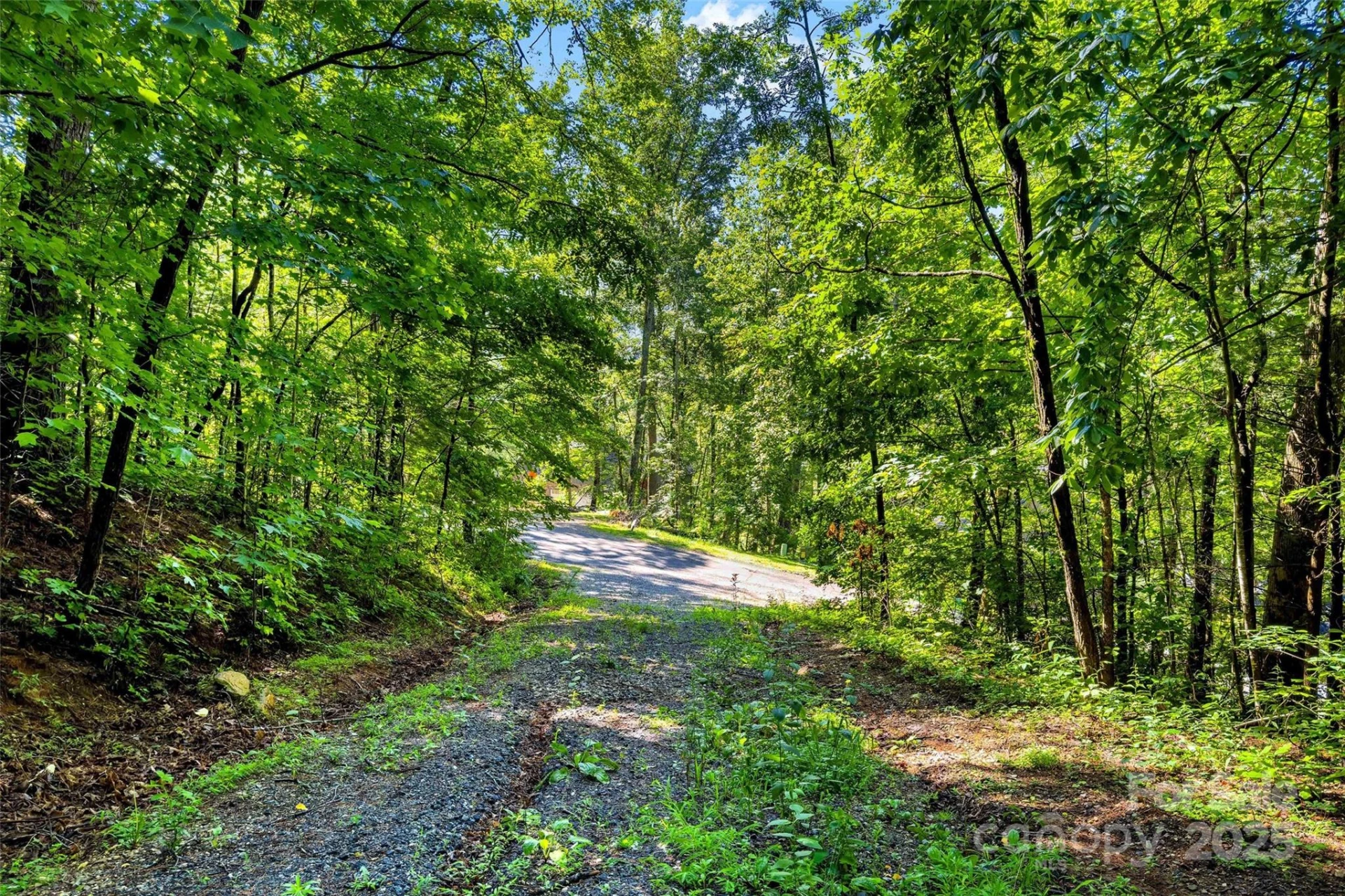 Lot #76 Hunnicut Spur Road - Photo 2