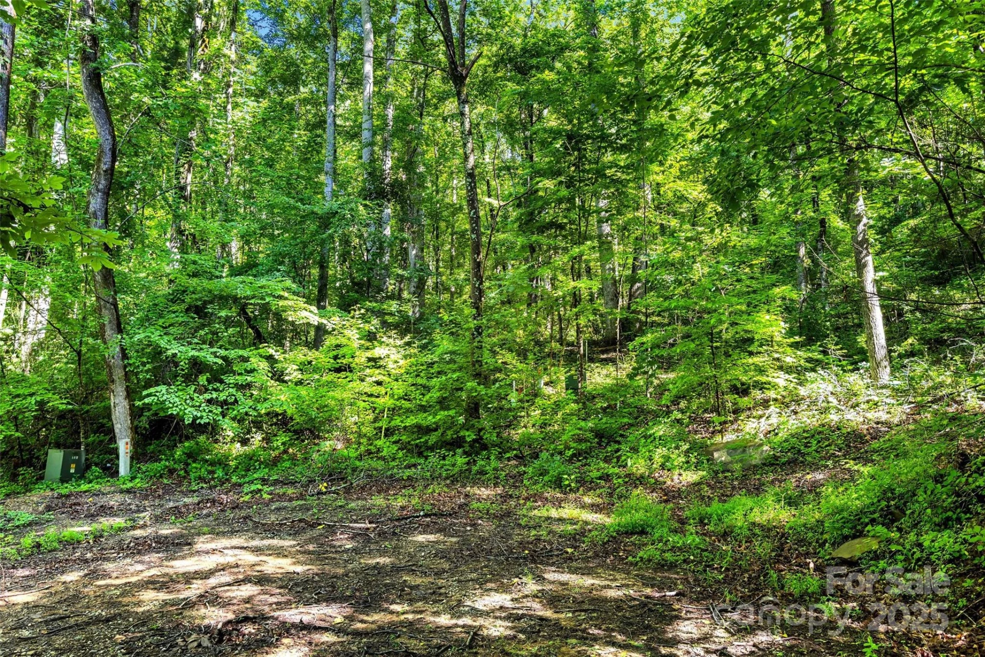 Lot #76 Hunnicut Spur Road - Photo 12