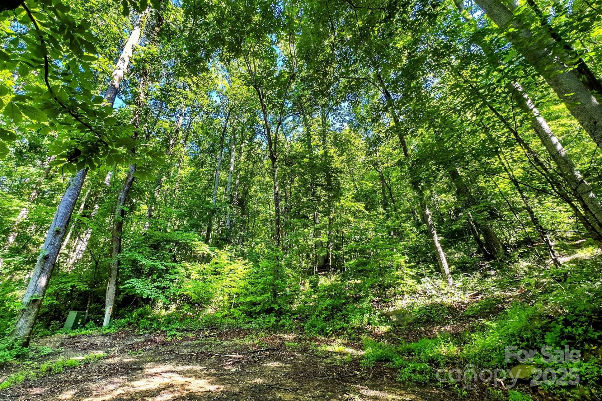 Lot #76 Hunnicut Spur Road - Photo 13