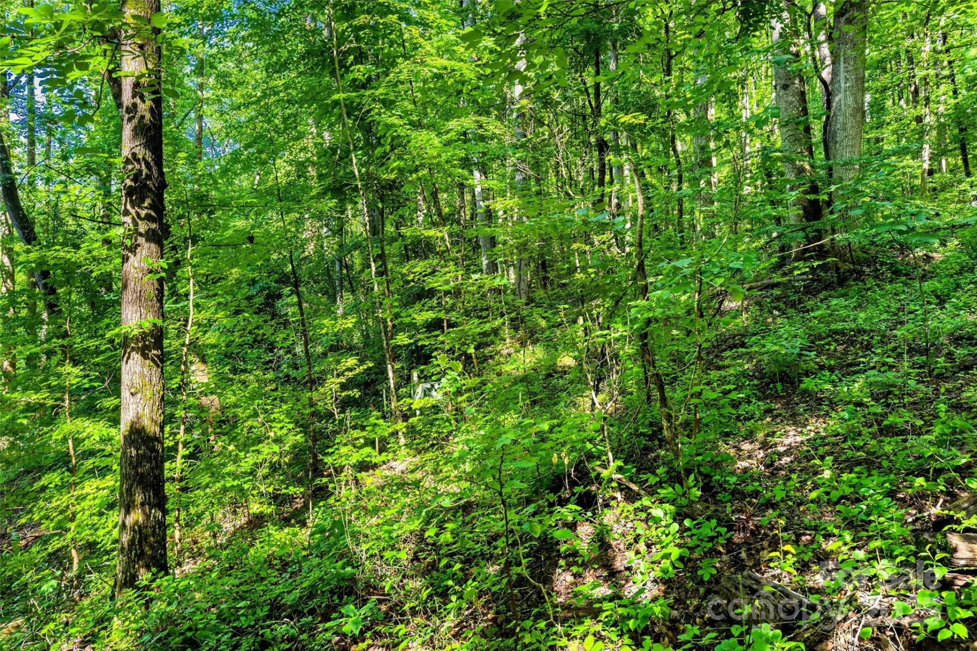 Lot #76 Hunnicut Spur Road - Photo 9