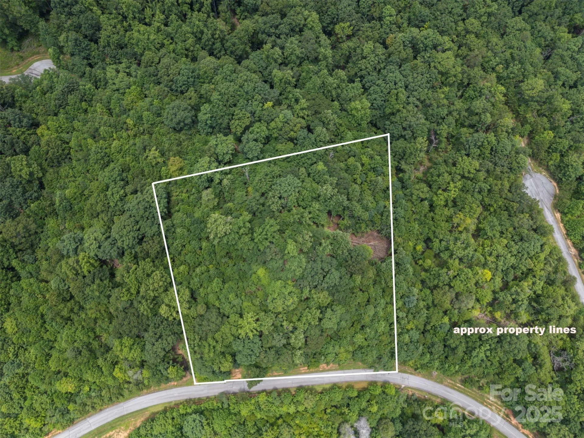 000 Deep Gap Farm Road E - Photo 2