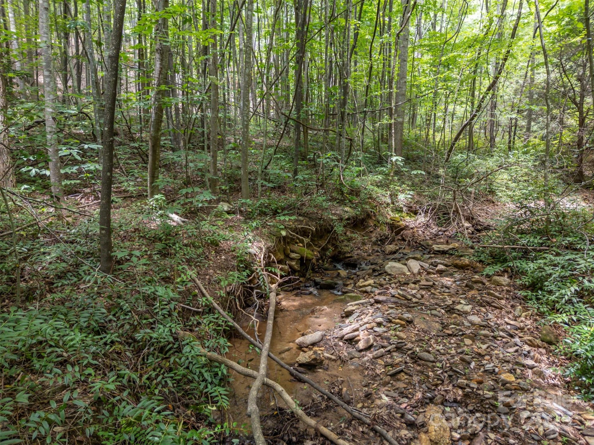 000 Deep Gap Farm Road E - Photo 3